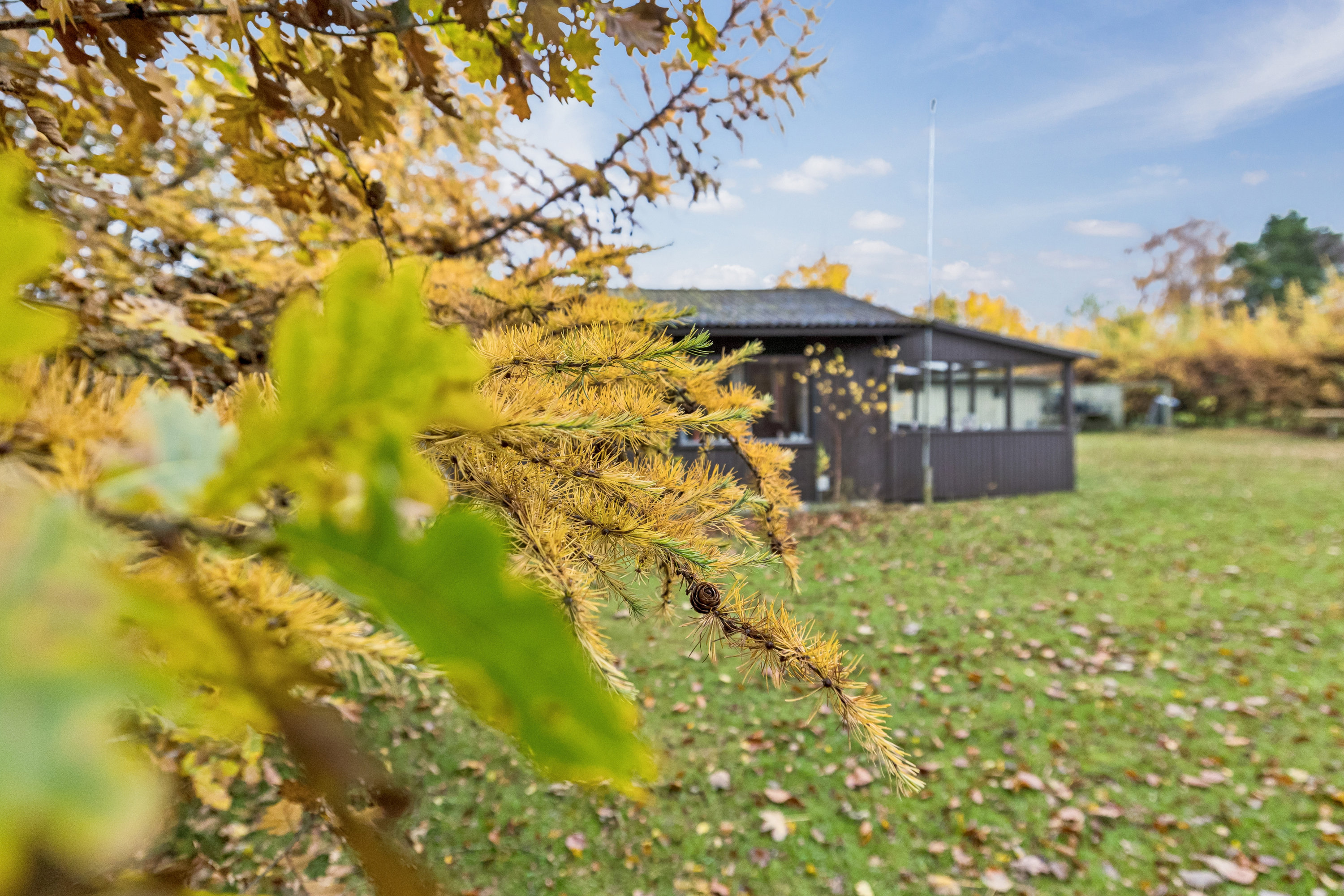 Fremhævet have billede i fuldskærmstilstand. Billede af Hestehaven 7, Øster Hurup, 9560 Hadsund