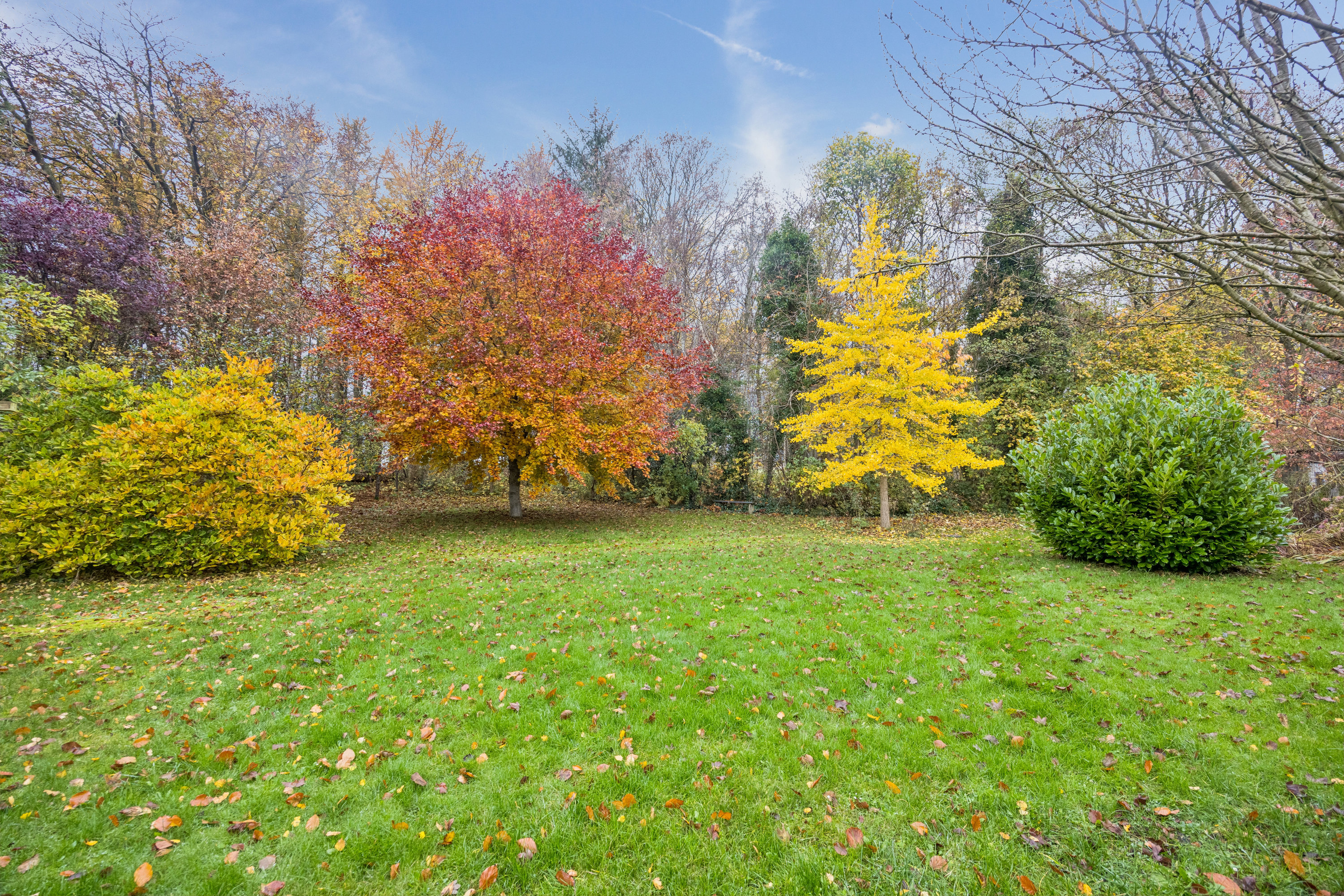 Fremhævet have billede i fuldskærmstilstand. Billede af Tranhøj 38, Tranum, 9460 Brovst