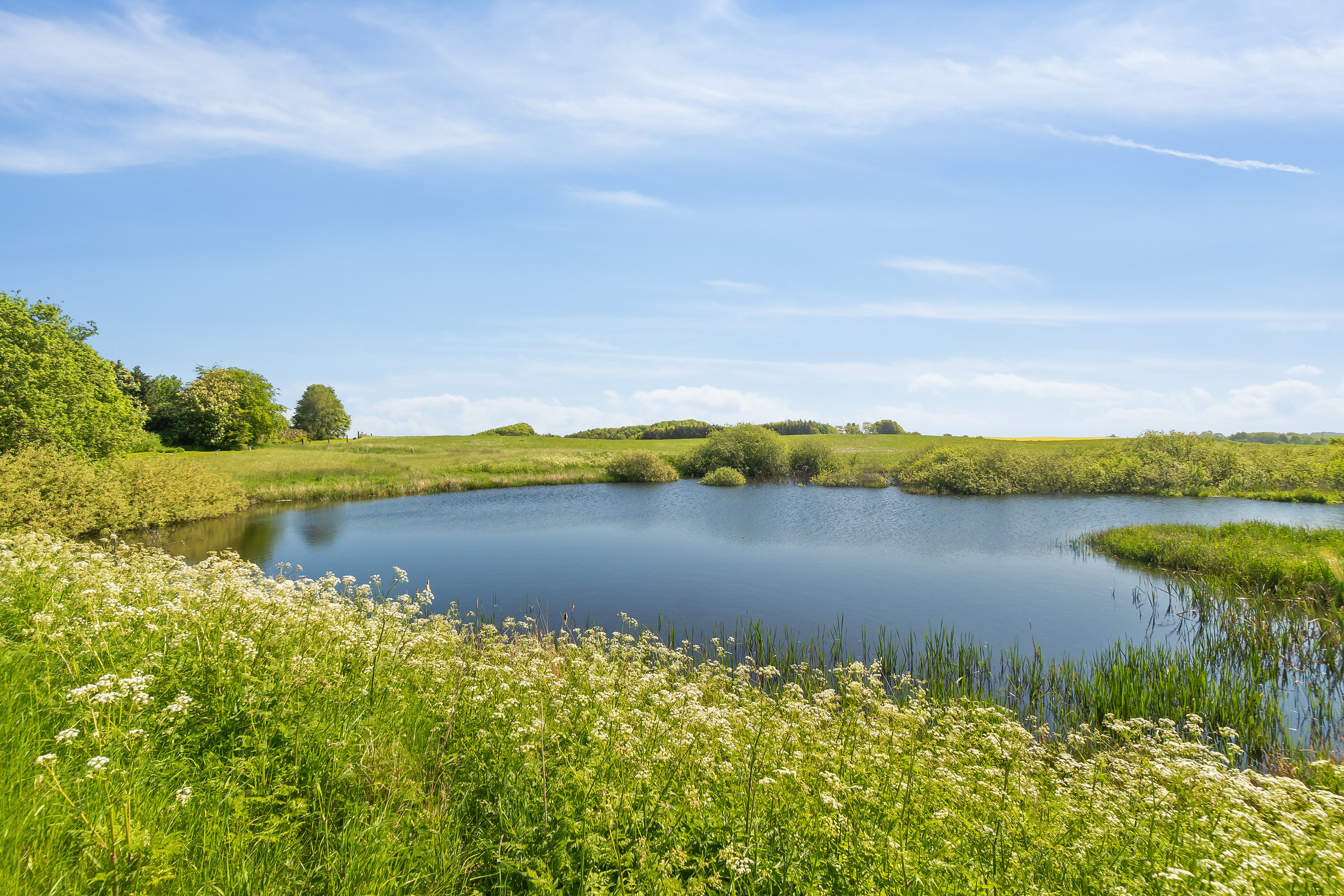 Fremhævet  billede i fuldskærmstilstand. Billede af Bovsbjergvej 4, Torup, 8860 Ulstrup
