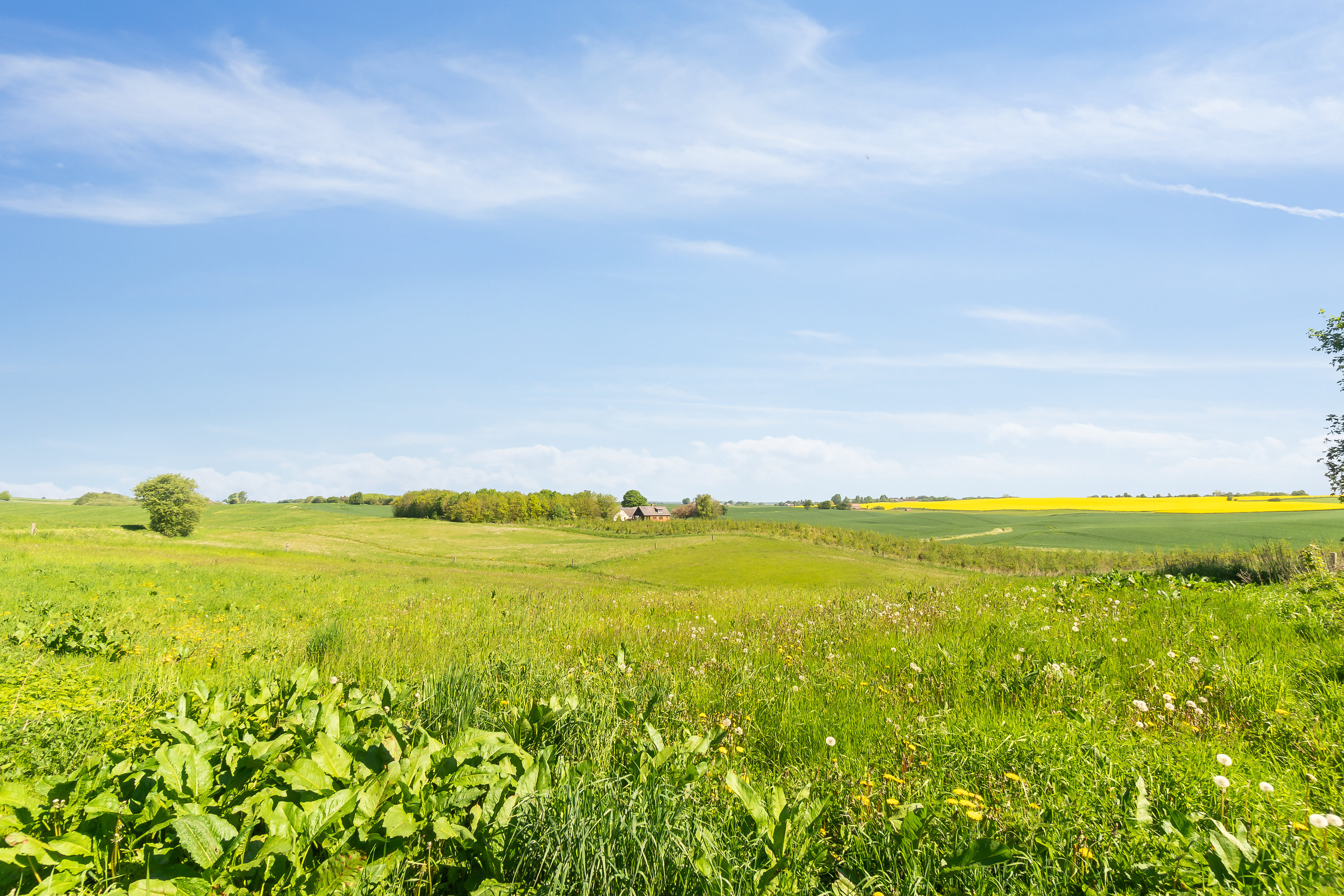 Fremhævet  billede i fuldskærmstilstand. Billede af Bovsbjergvej 4, Torup, 8860 Ulstrup