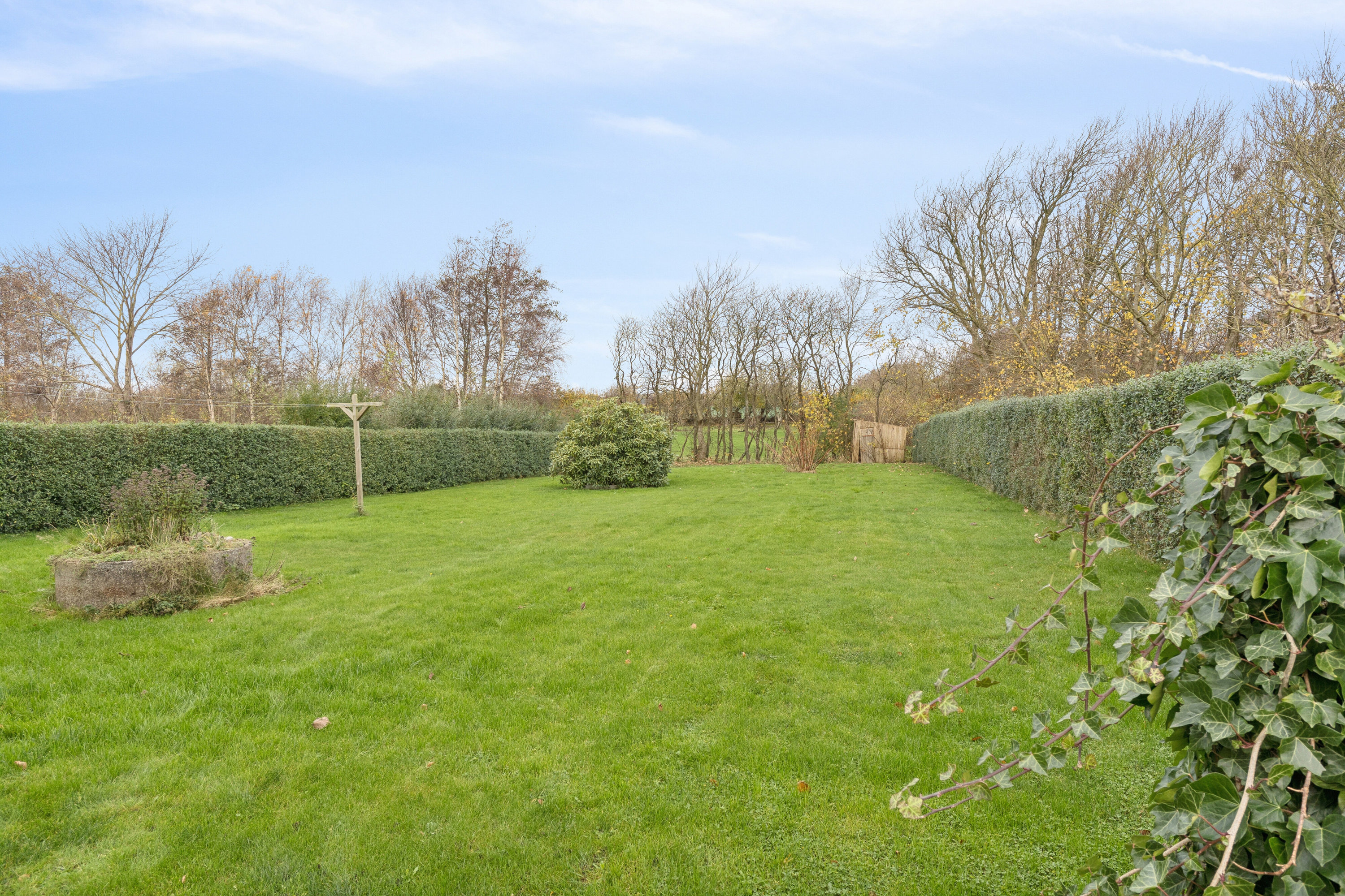 Fremhævet have billede i fuldskærmstilstand. Billede af Skallerupvej 462, Sønderlev, 9800 Hjørring