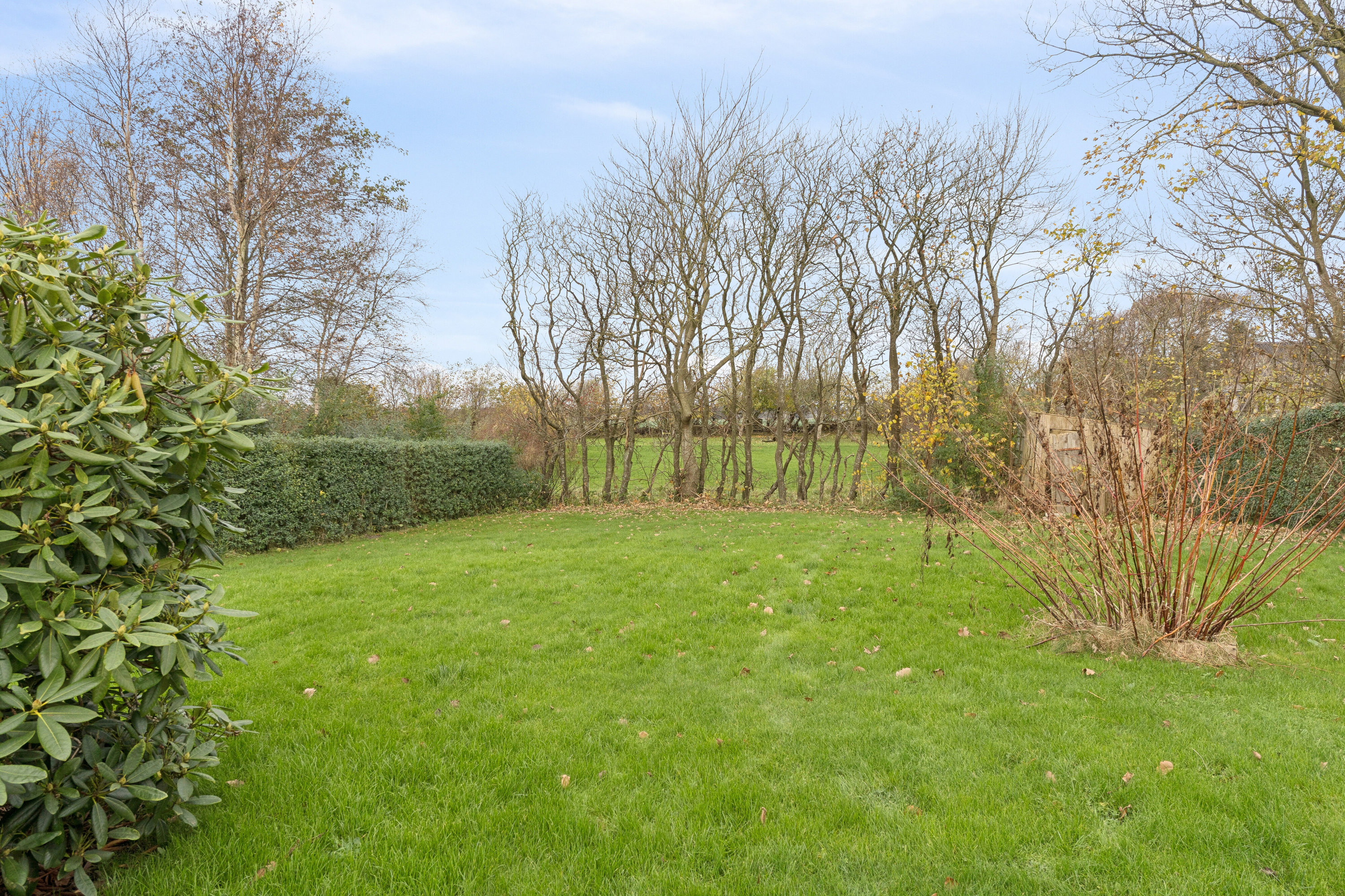 Fremhævet have billede i fuldskærmstilstand. Billede af Skallerupvej 462, Sønderlev, 9800 Hjørring