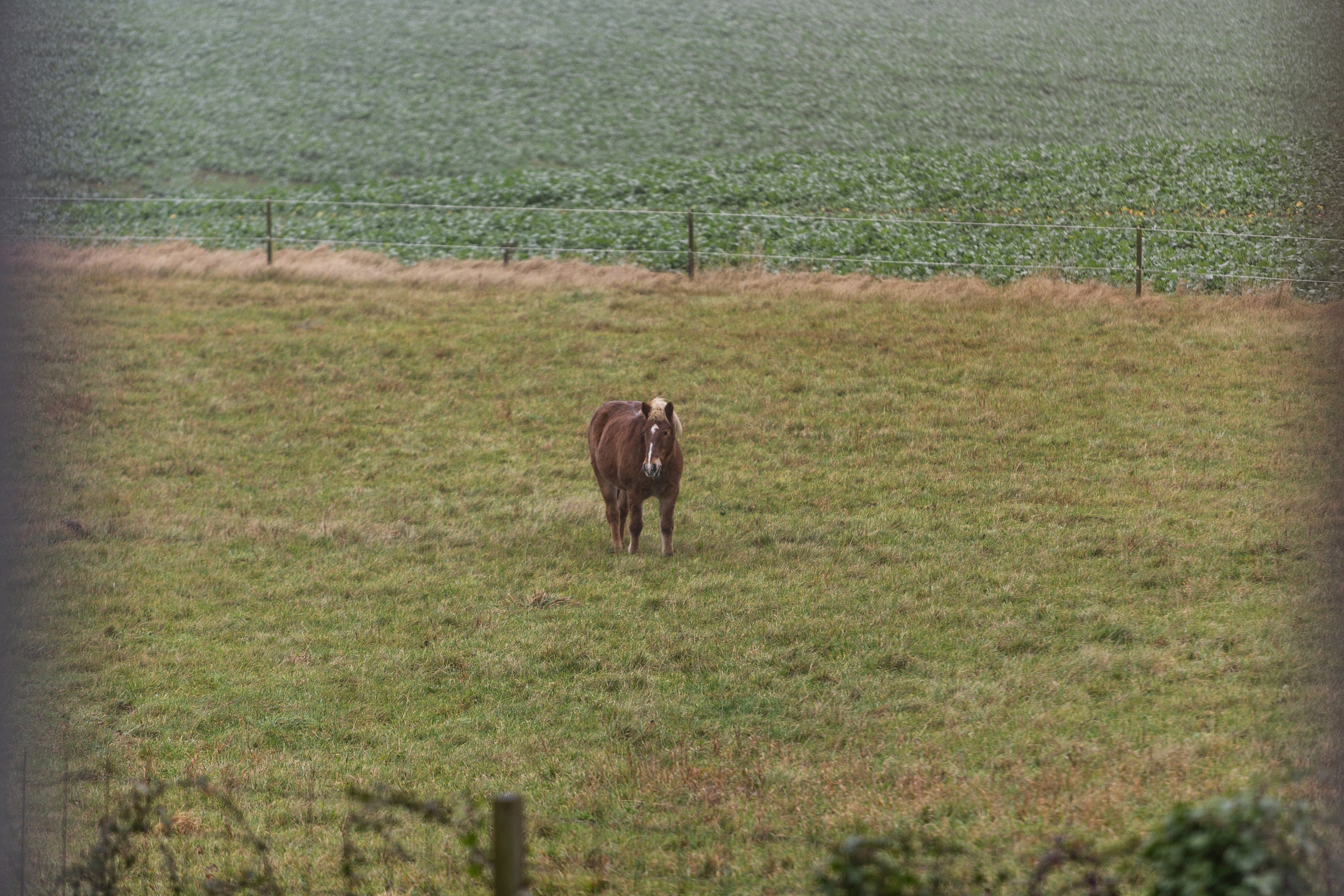 Fremhævet område billede i fuldskærmstilstand. Billede af Kannevej 9, Kanne, 8355 Solbjerg