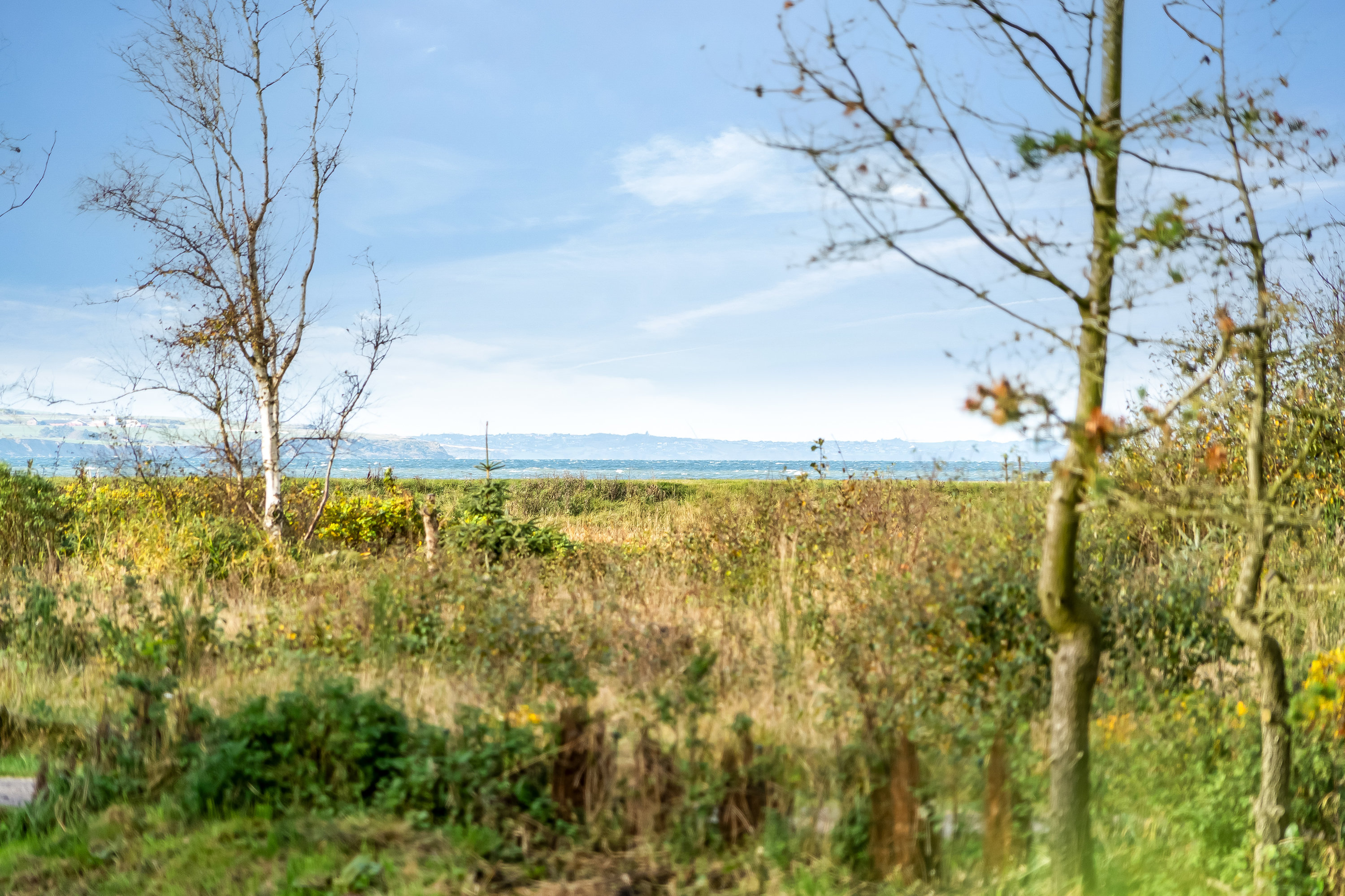 Fremhævet  billede i fuldskærmstilstand. Billede af Skovbrynet 4, Sunddraget, 7790 Thyholm