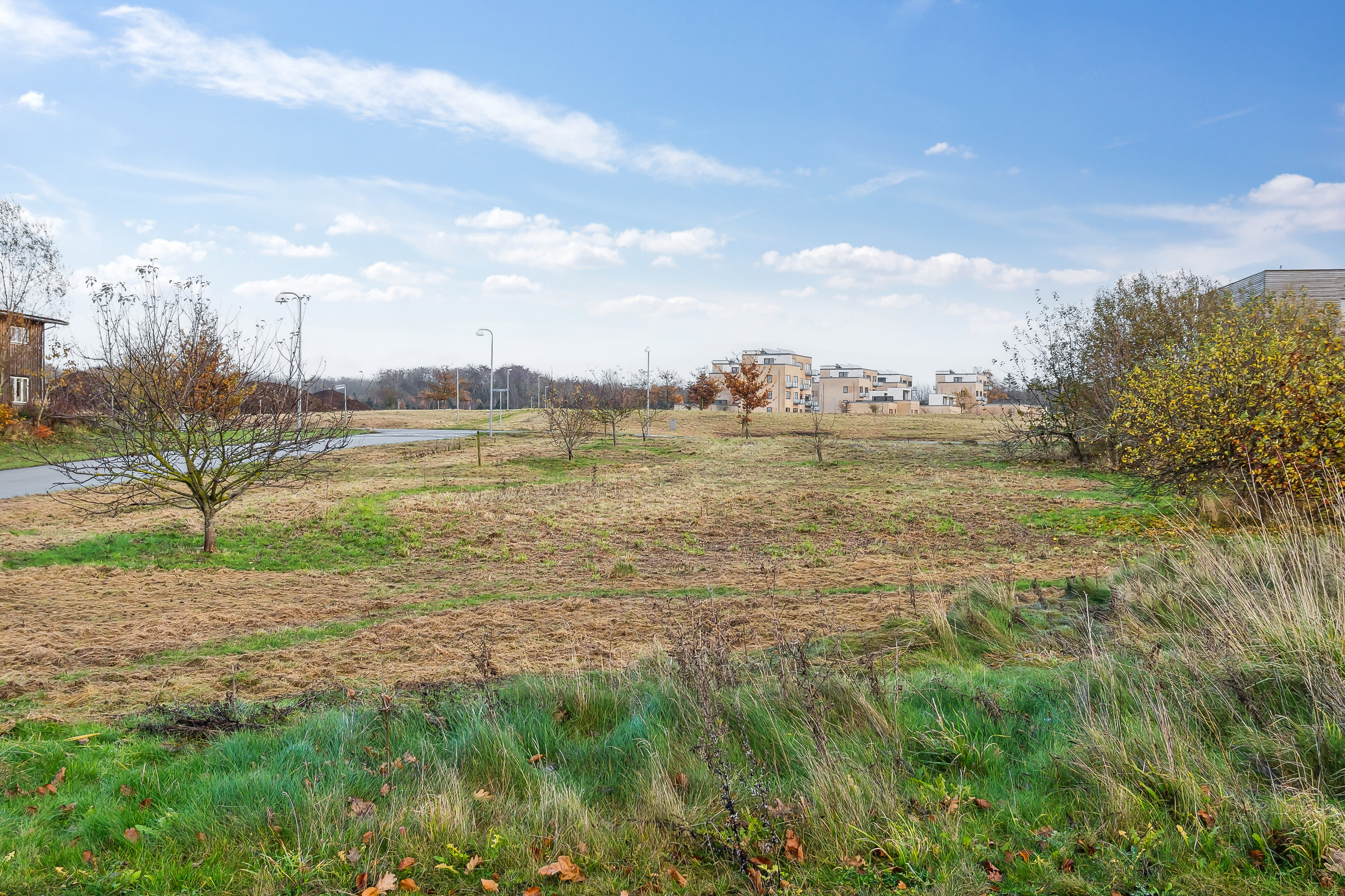 Fremhævet  billede i fuldskærmstilstand. Billede af Sophie Amalie Vej 14, 5700 Svendborg