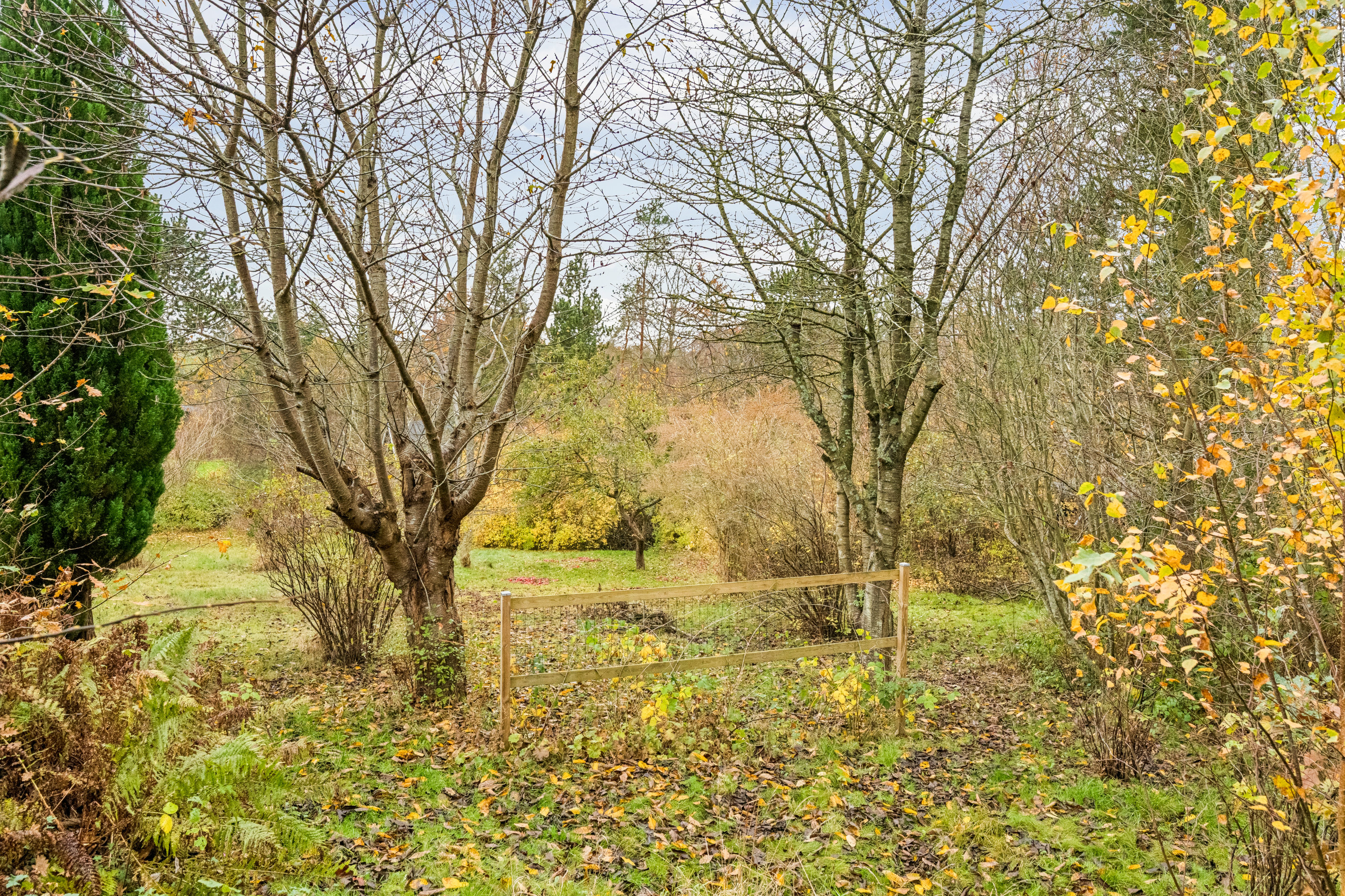 Fremhævet have billede i fuldskærmstilstand. Billede af Gl. Kirkebjerg 60, Stødov Bakker, 8420 Knebel