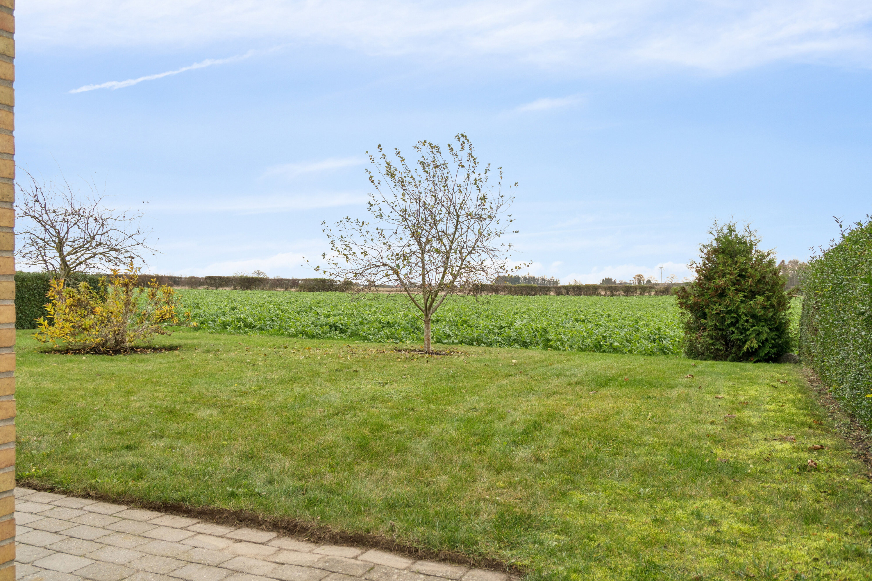 Fremhævet udendørs billede i fuldskærmstilstand. Billede af Skovballevej 59A, Tåsinge, 5700 Svendborg