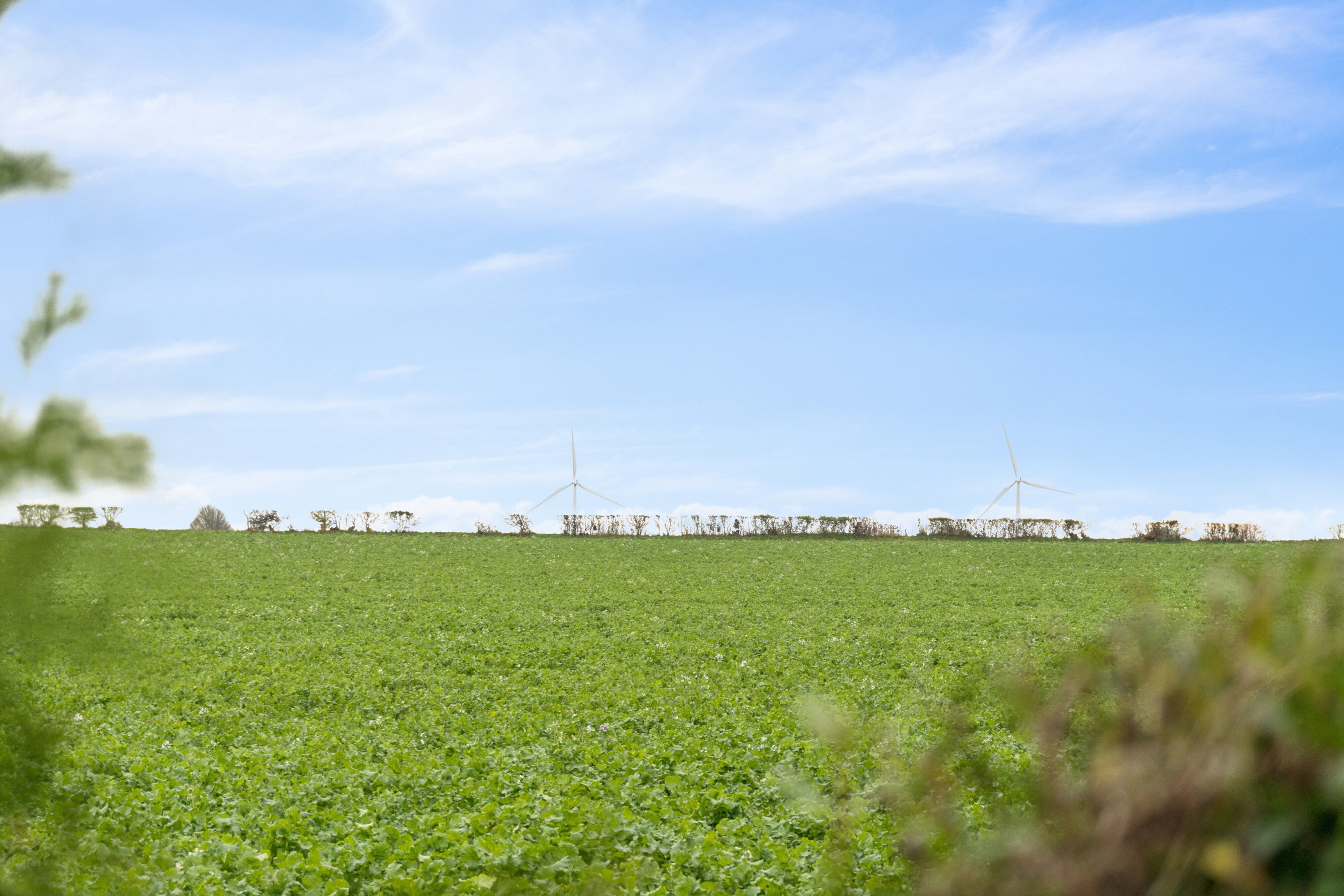 Fremhævet udsigt billede i fuldskærmstilstand. Billede af Skovballevej 59A, Tåsinge, 5700 Svendborg