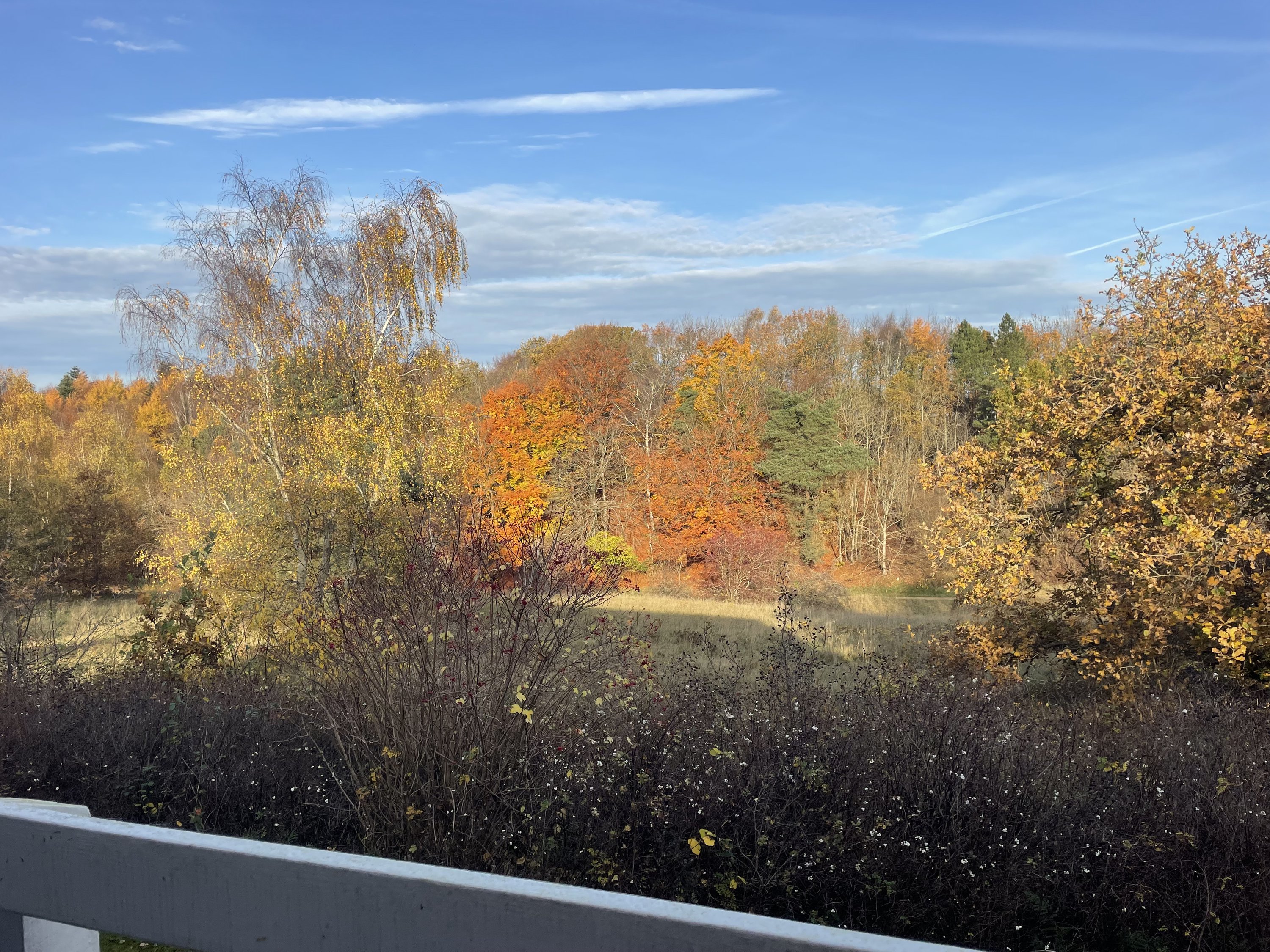 Fremhævet  billede i fuldskærmstilstand. Billede af Kildebakken 12, 8800 Viborg