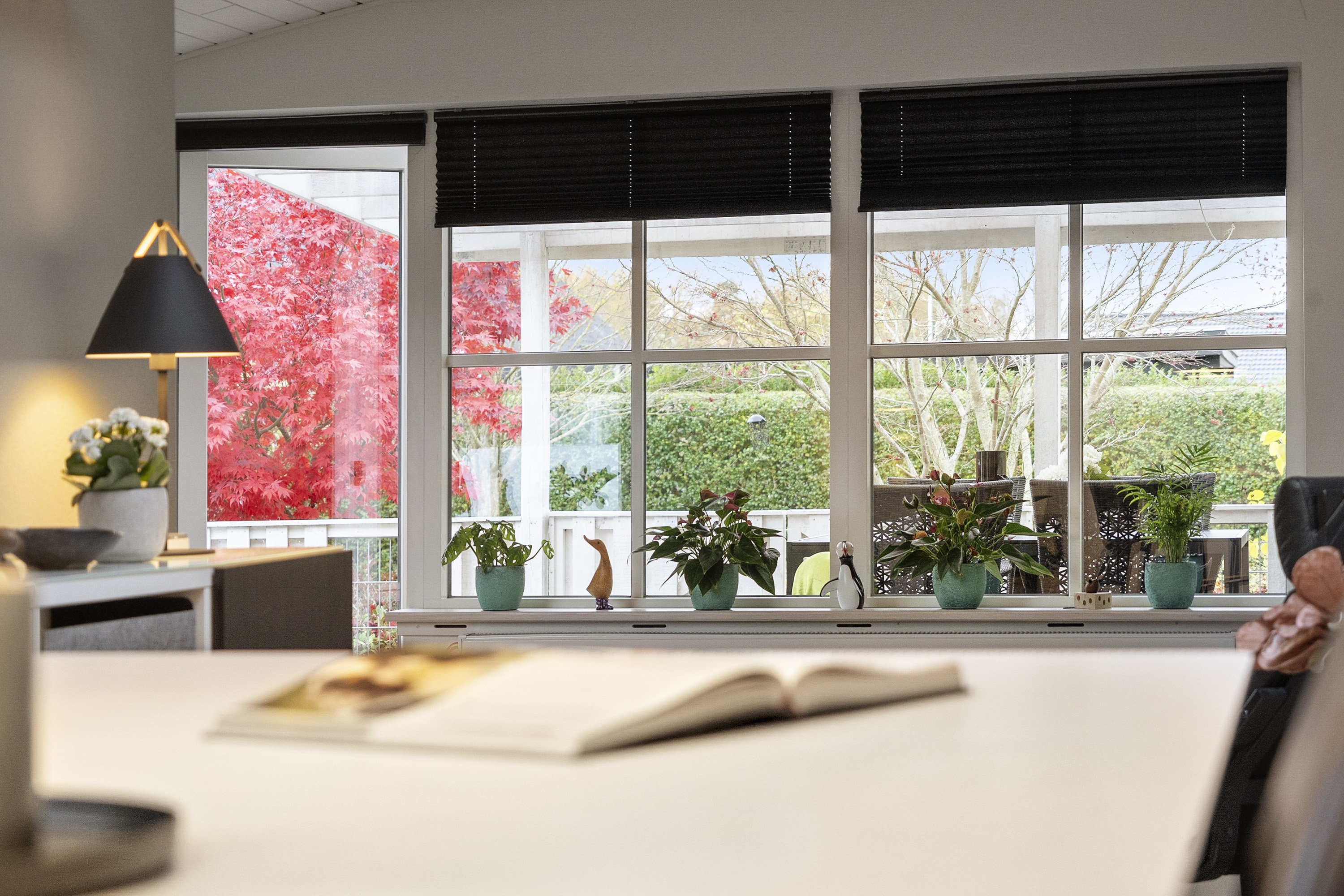 Fremhævet spisekøkken billede i fuldskærmstilstand. Billede af Strandvejen 46, Seden, 5240 Odense NØ