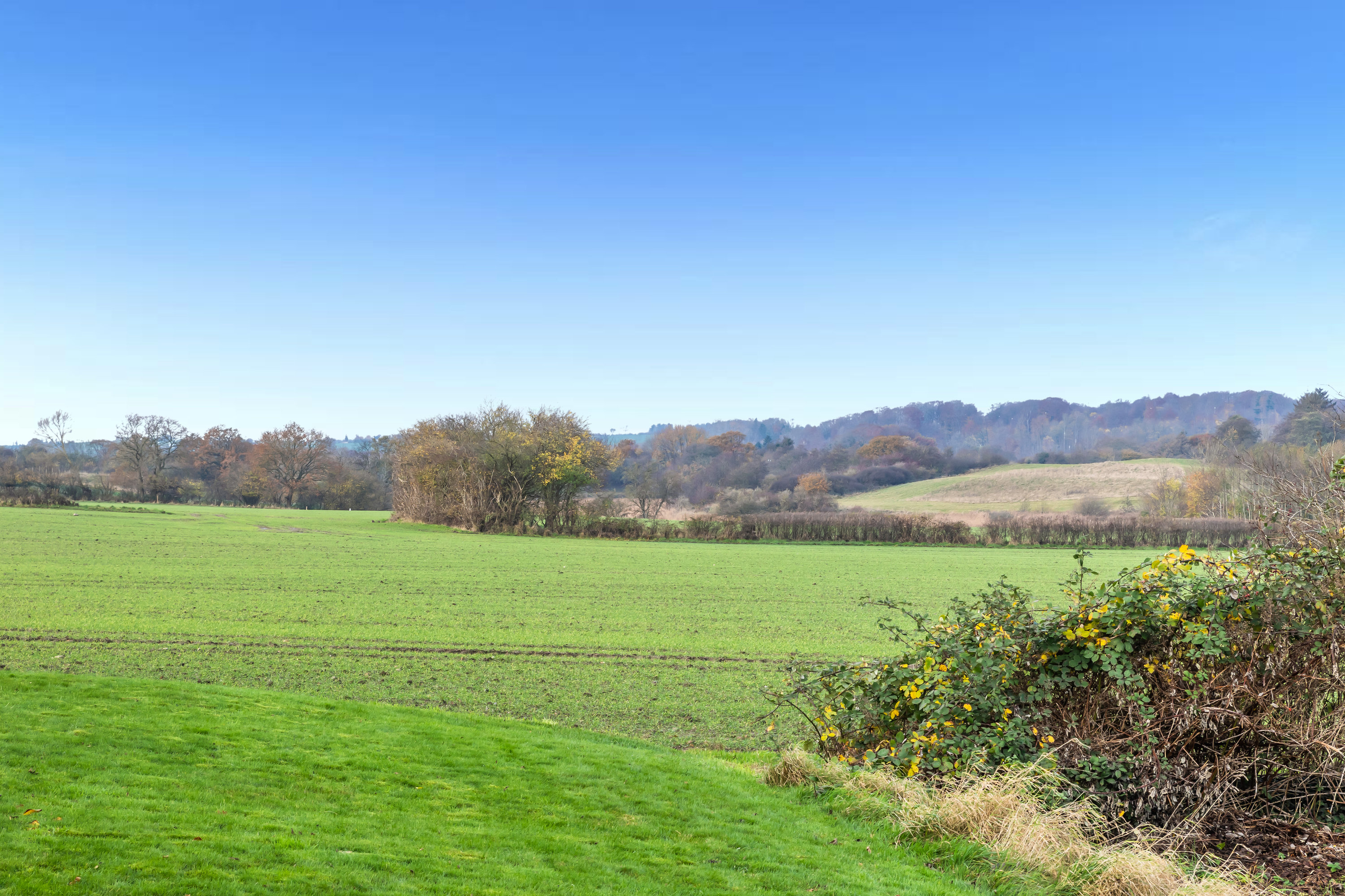 Fremhævet  billede i fuldskærmstilstand. Billede af Snabevej 7, Sverdrup, 6100 Haderslev