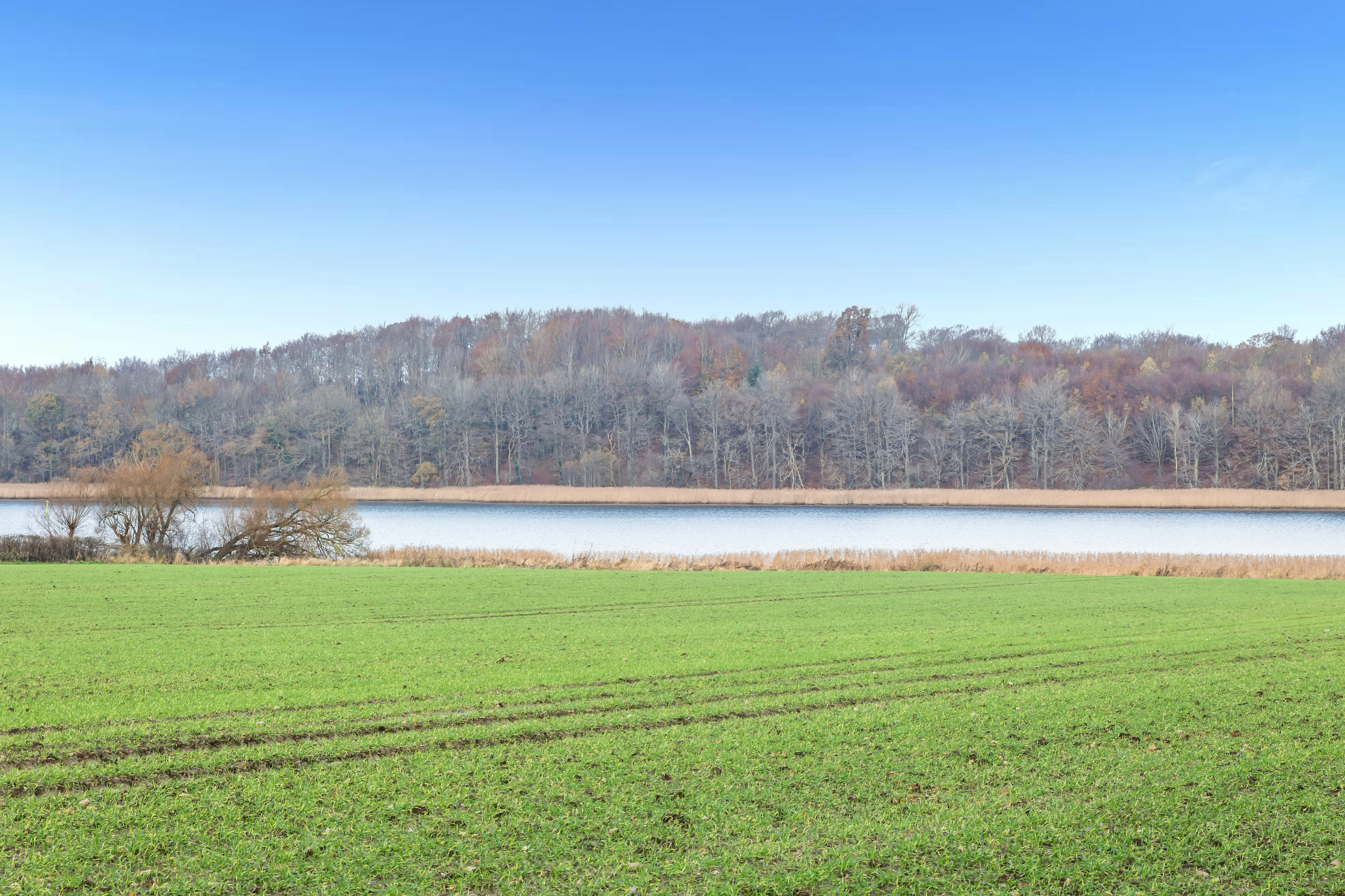 Fremhævet  billede i fuldskærmstilstand. Billede af Snabevej 7, Sverdrup, 6100 Haderslev