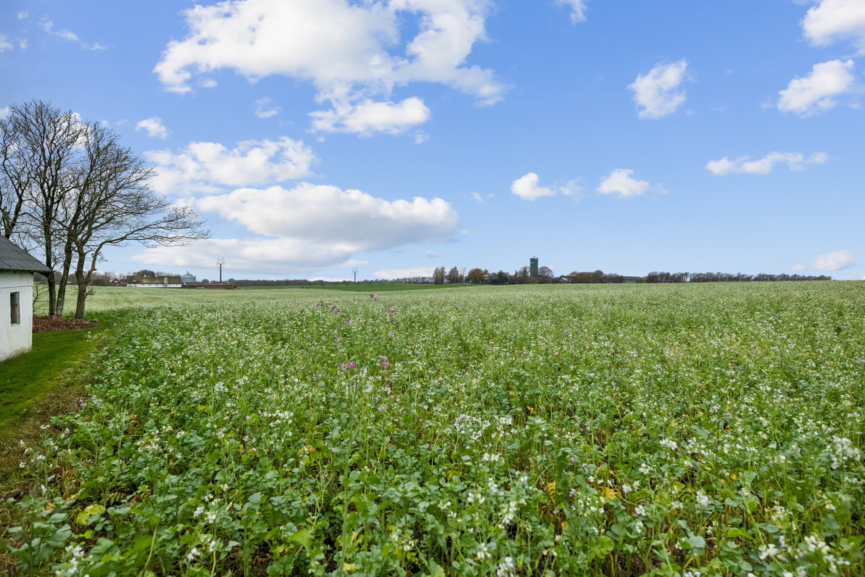Fremhævet udsigt billede i fuldskærmstilstand. Billede af Mejlbyvej 121, Mejlby, 9610 Nørager