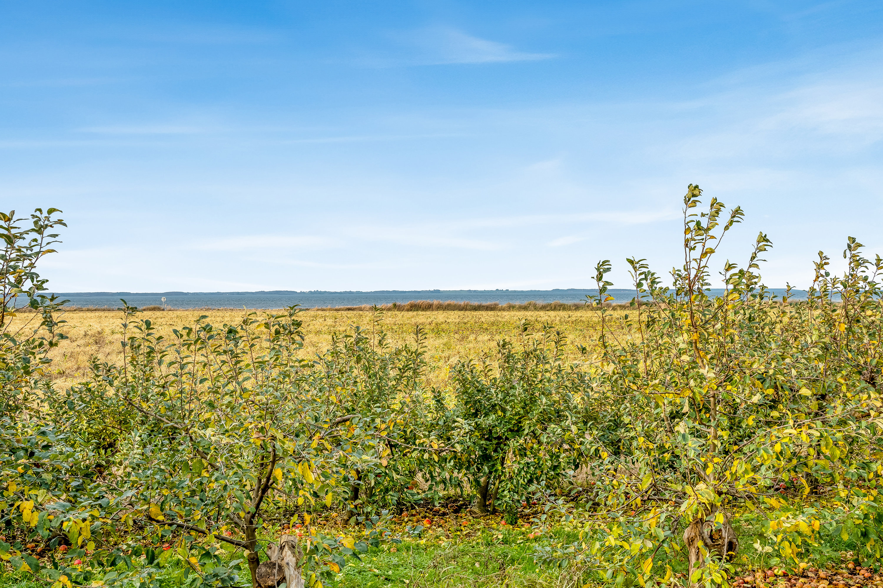 Fremhævet udsigt billede i fuldskærmstilstand. Billede af Konemadevej 19, 4942 Askø