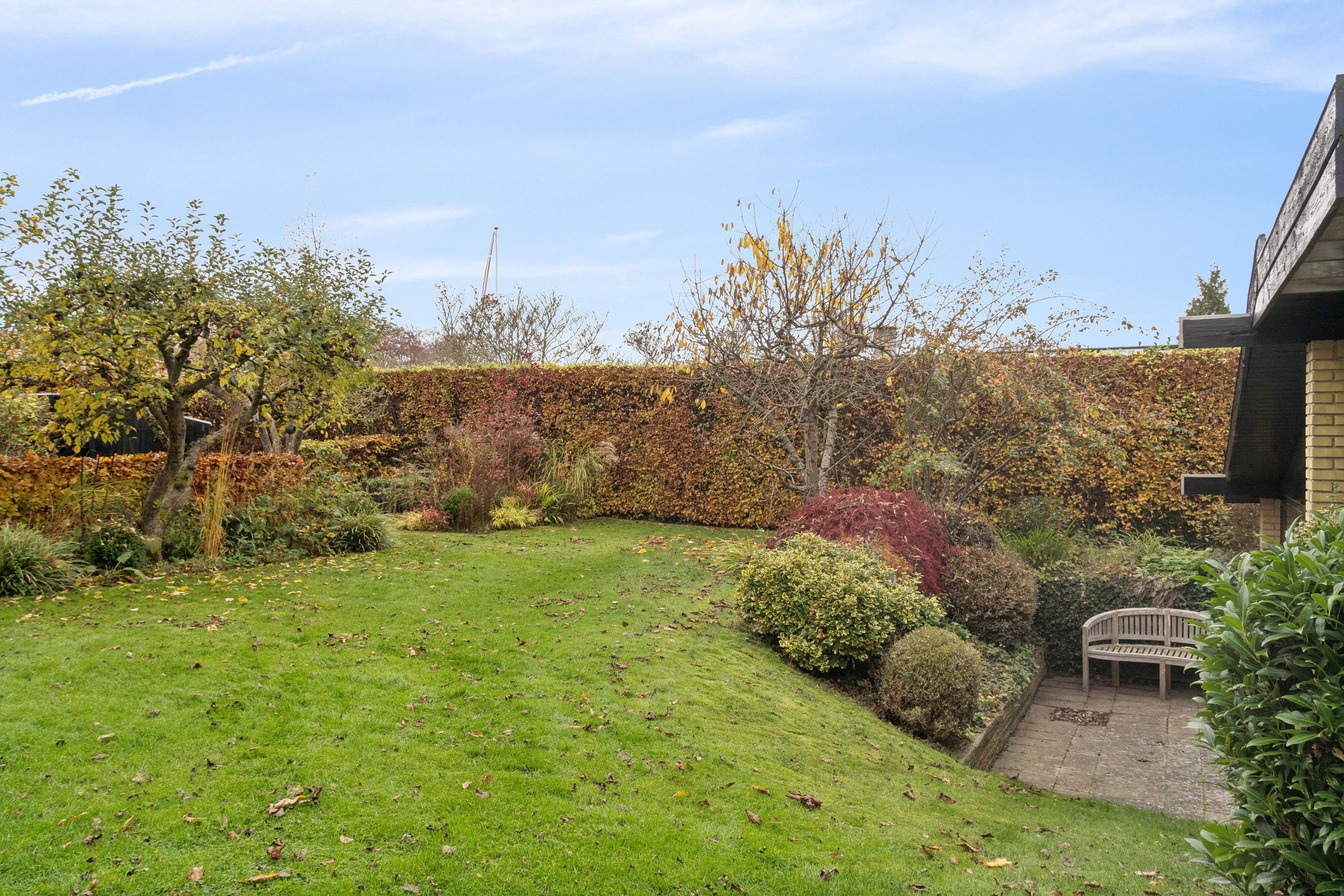 Fremhævet have billede i fuldskærmstilstand. Billede af Odensevej 58, Himmelev, 4000 Roskilde