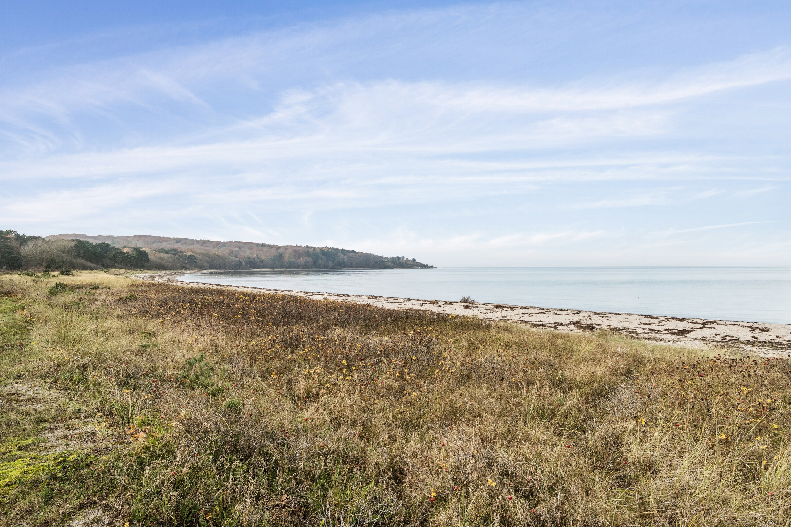 Fremhævet omgivelser billede i fuldskærmstilstand. Billede af Høve Klitbo 8, 4550 Asnæs