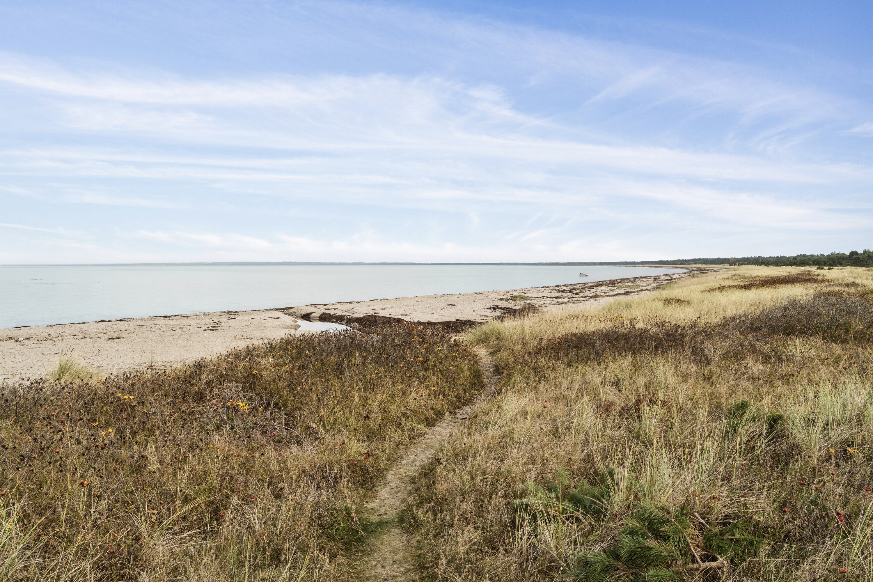 Fremhævet omgivelser billede i fuldskærmstilstand. Billede af Høve Klitbo 8, 4550 Asnæs