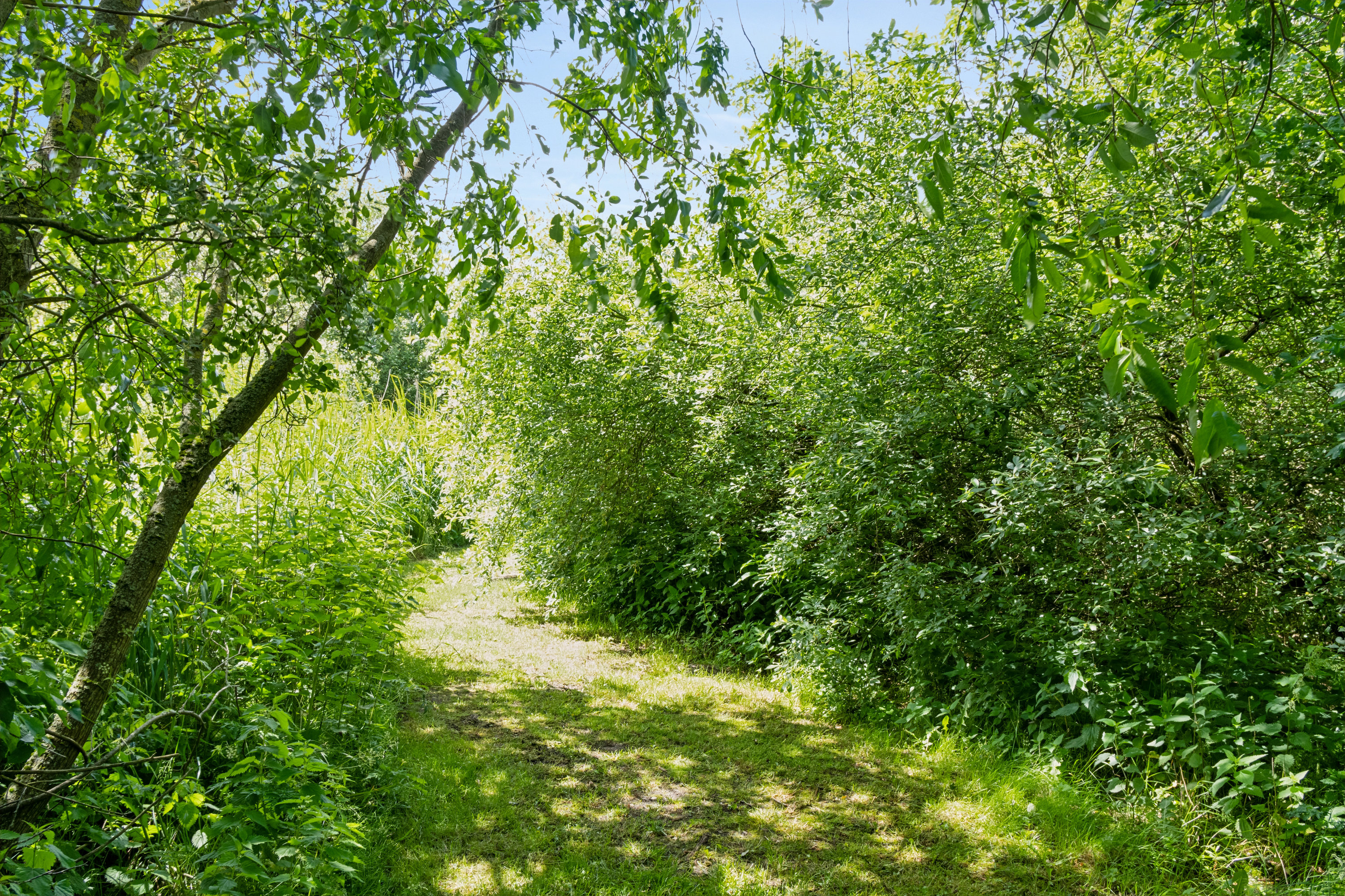 Fremhævet  billede i fuldskærmstilstand. Billede af Hulager 15, Hjarbæk, 8831 Løgstrup