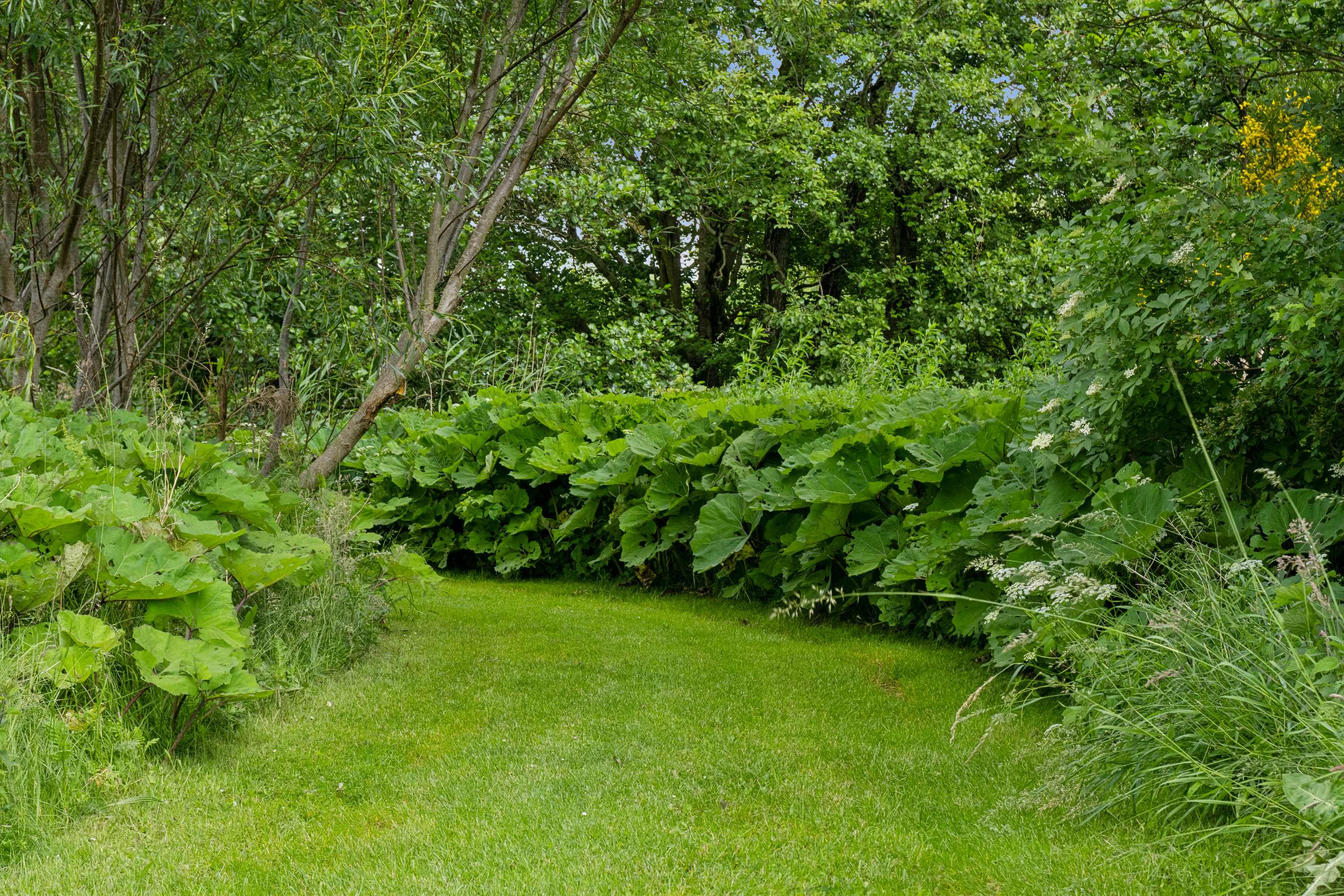 Fremhævet  billede i fuldskærmstilstand. Billede af Hulager 15, Hjarbæk, 8831 Løgstrup