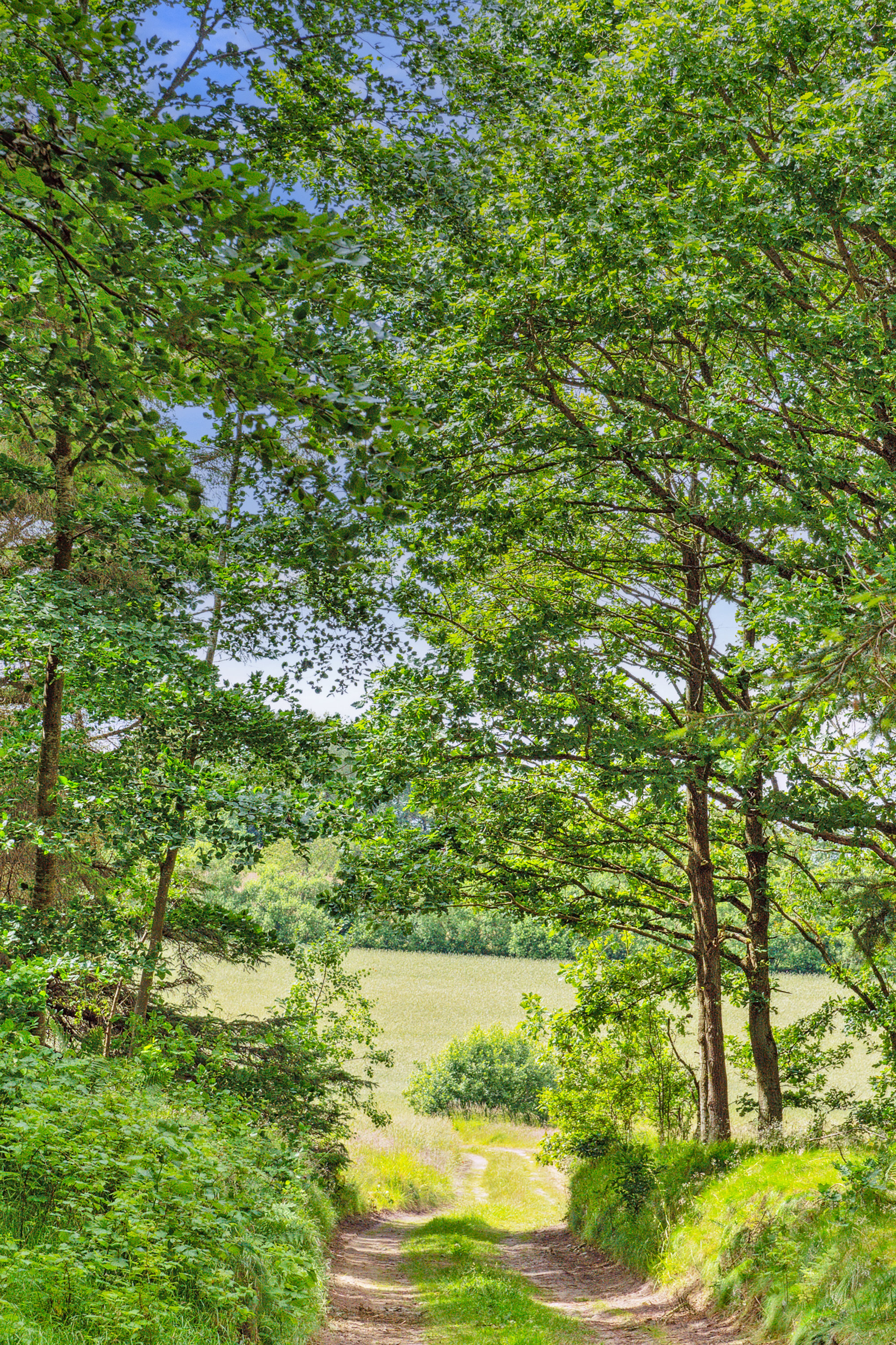 Fremhævet  billede i fuldskærmstilstand. Billede af Hulager 15, Hjarbæk, 8831 Løgstrup
