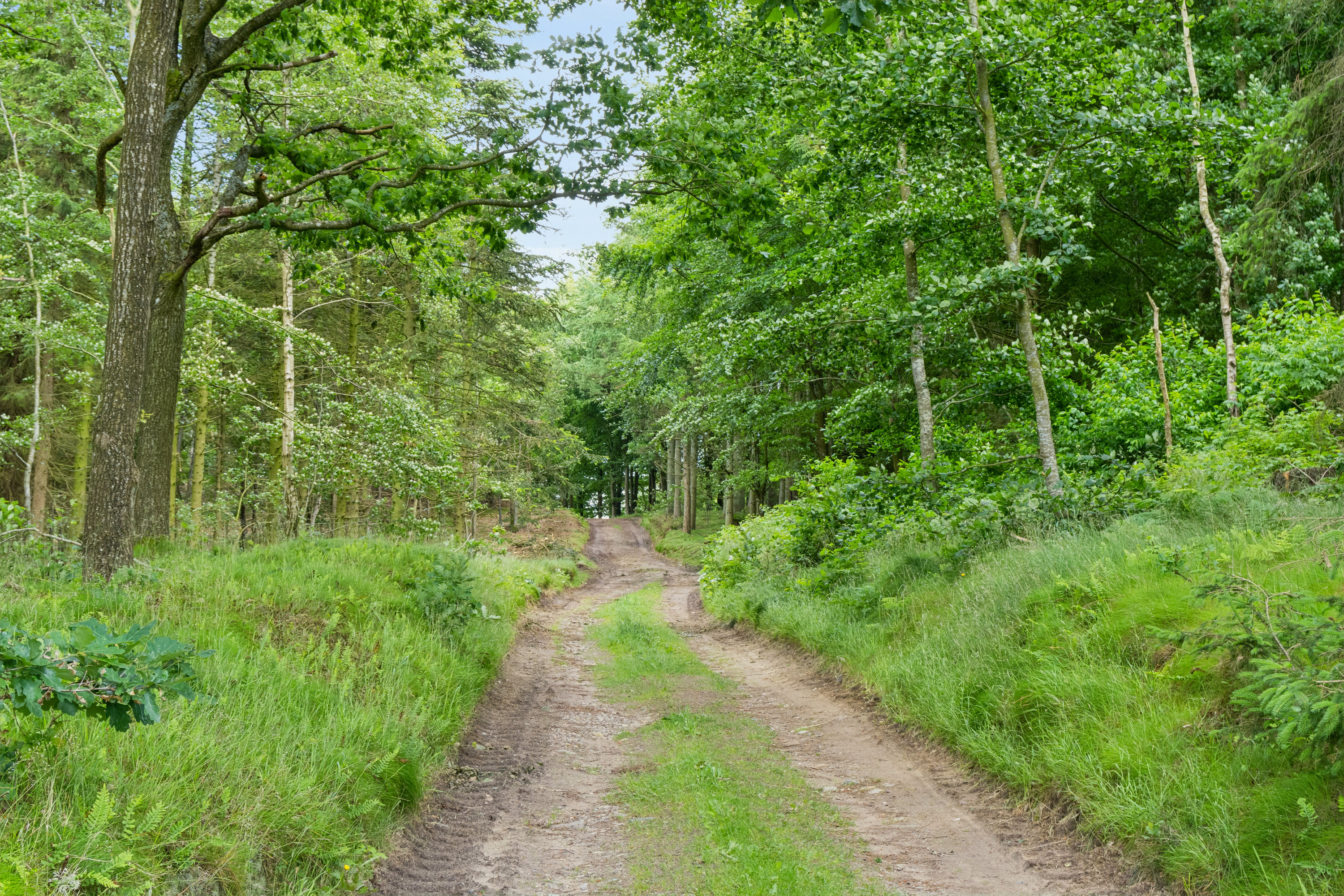 Fremhævet  billede i fuldskærmstilstand. Billede af Hulager 15, Hjarbæk, 8831 Løgstrup
