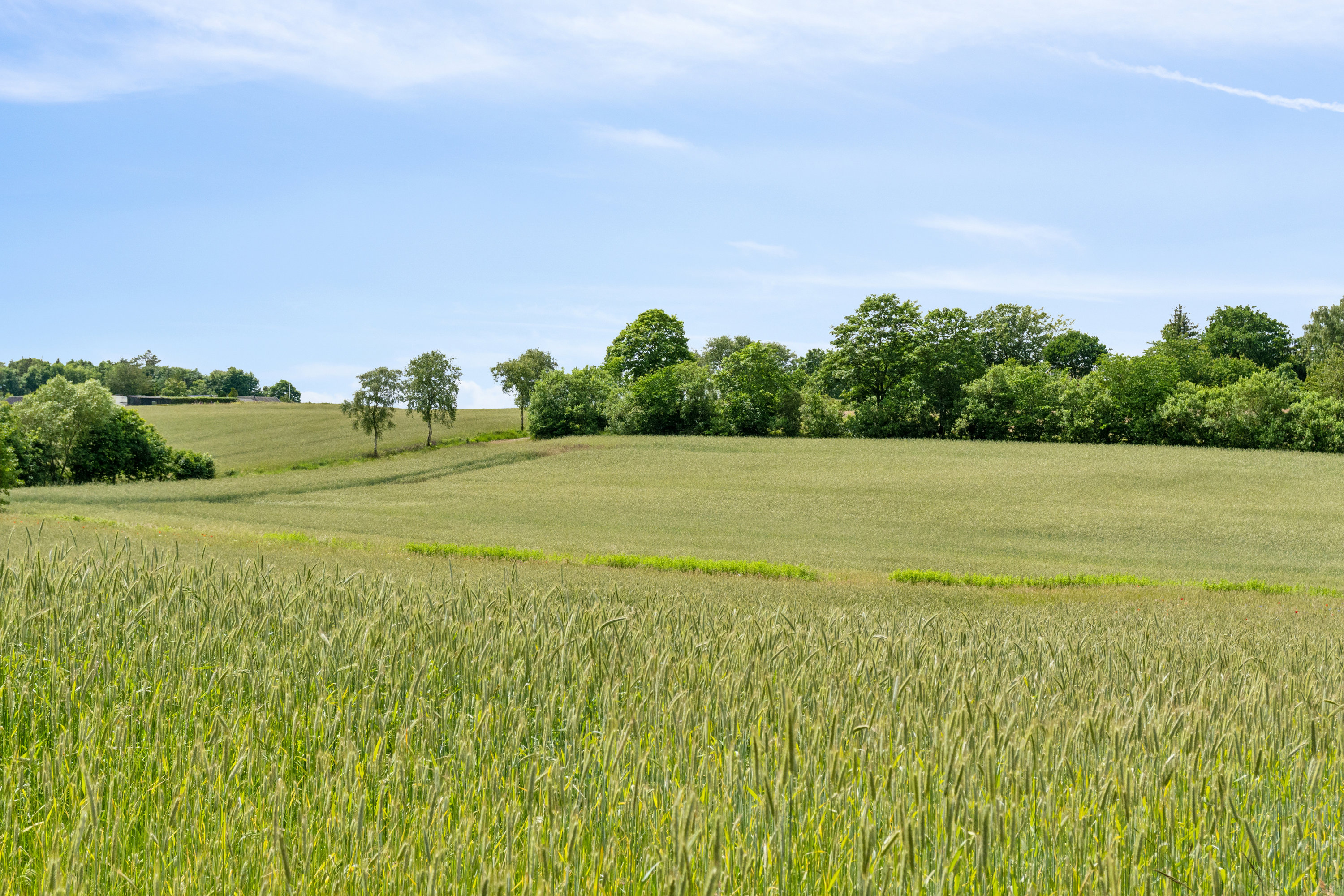 Fremhævet  billede i fuldskærmstilstand. Billede af Hulager 15, Hjarbæk, 8831 Løgstrup