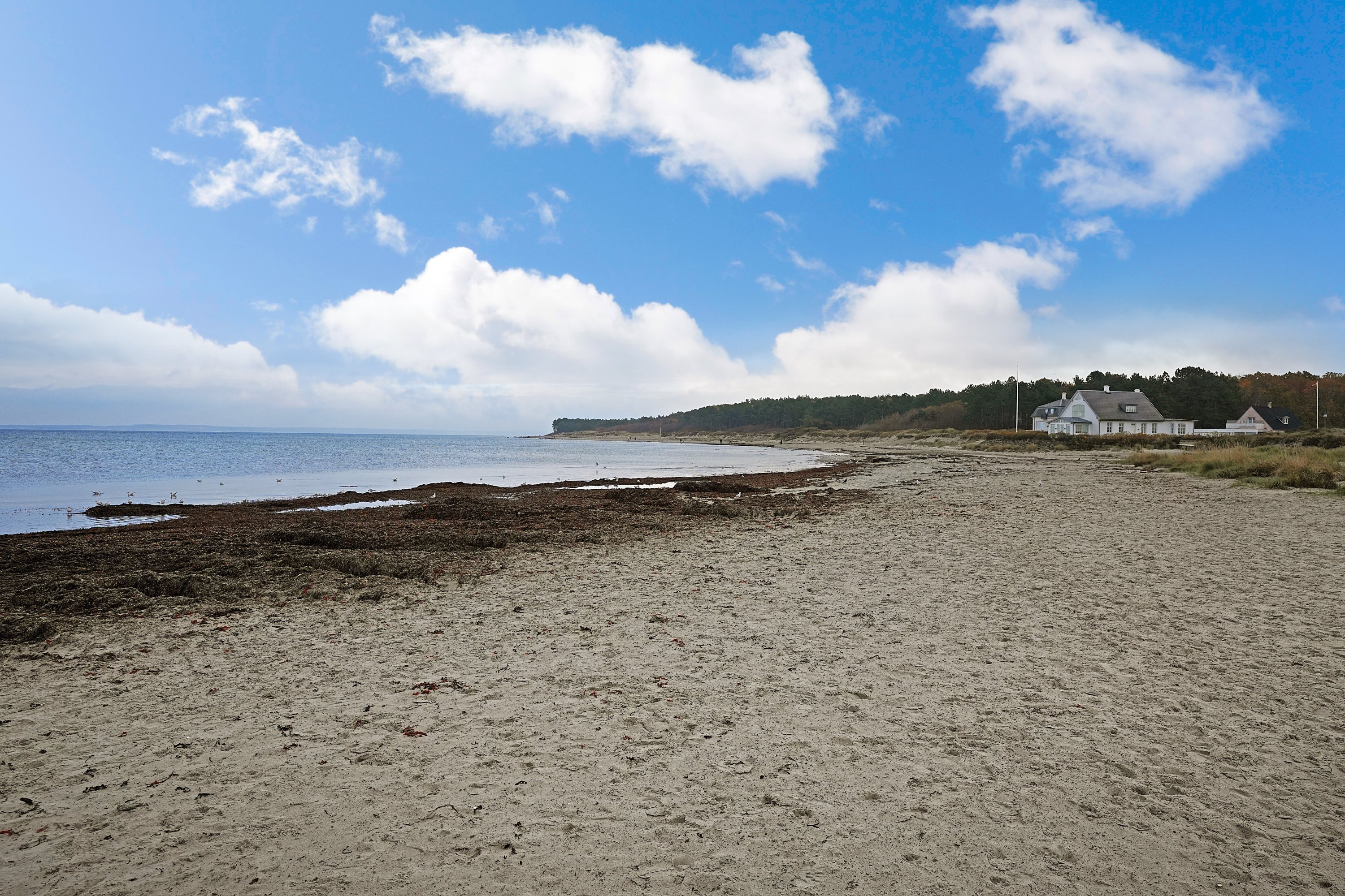 Fremhævet område billede i fuldskærmstilstand. Billede af Willemoesvej 3B, 3100 Hornbæk