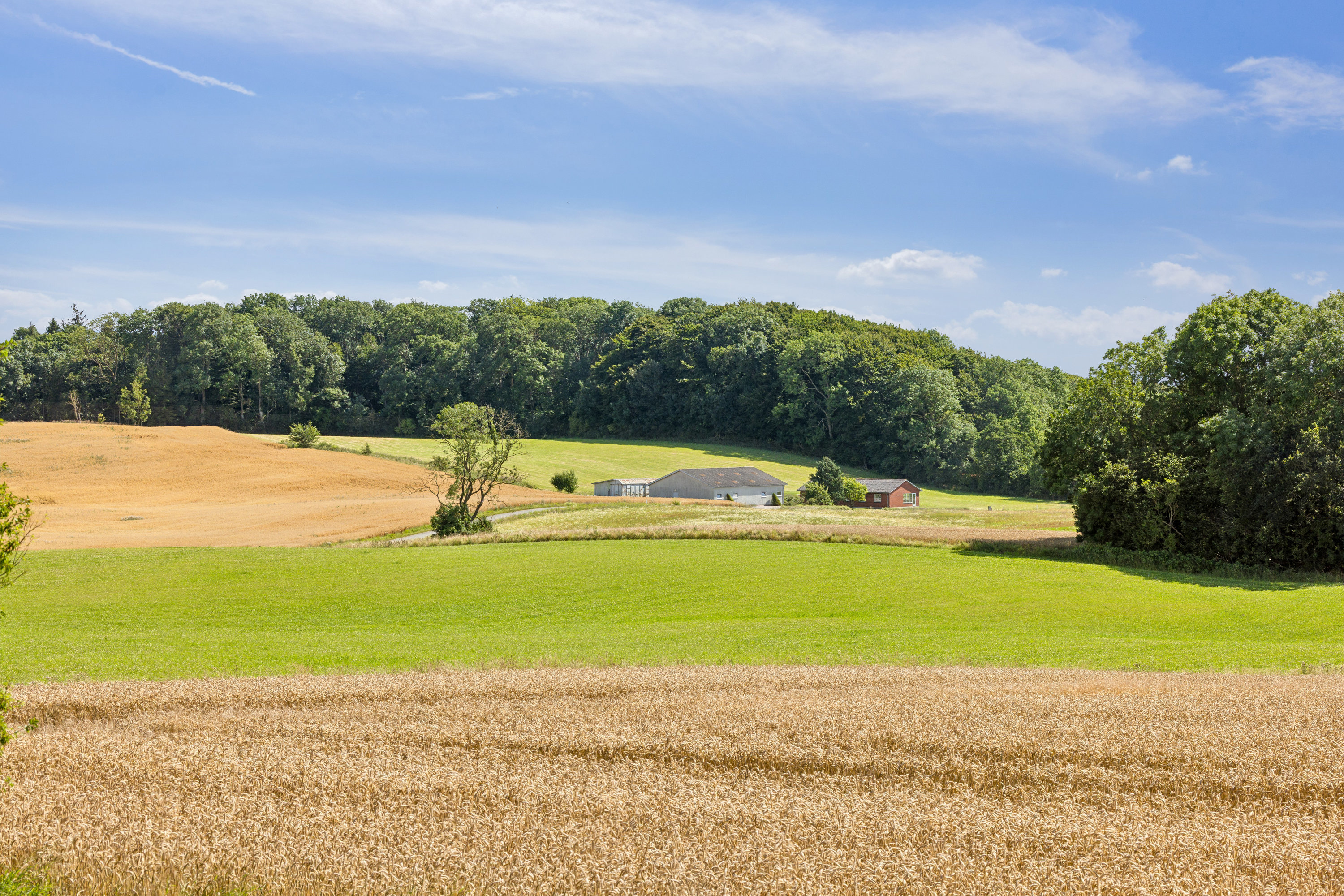 Fremhævet  billede i fuldskærmstilstand. Billede af Tronkærvej 129, 8541 Skødstrup