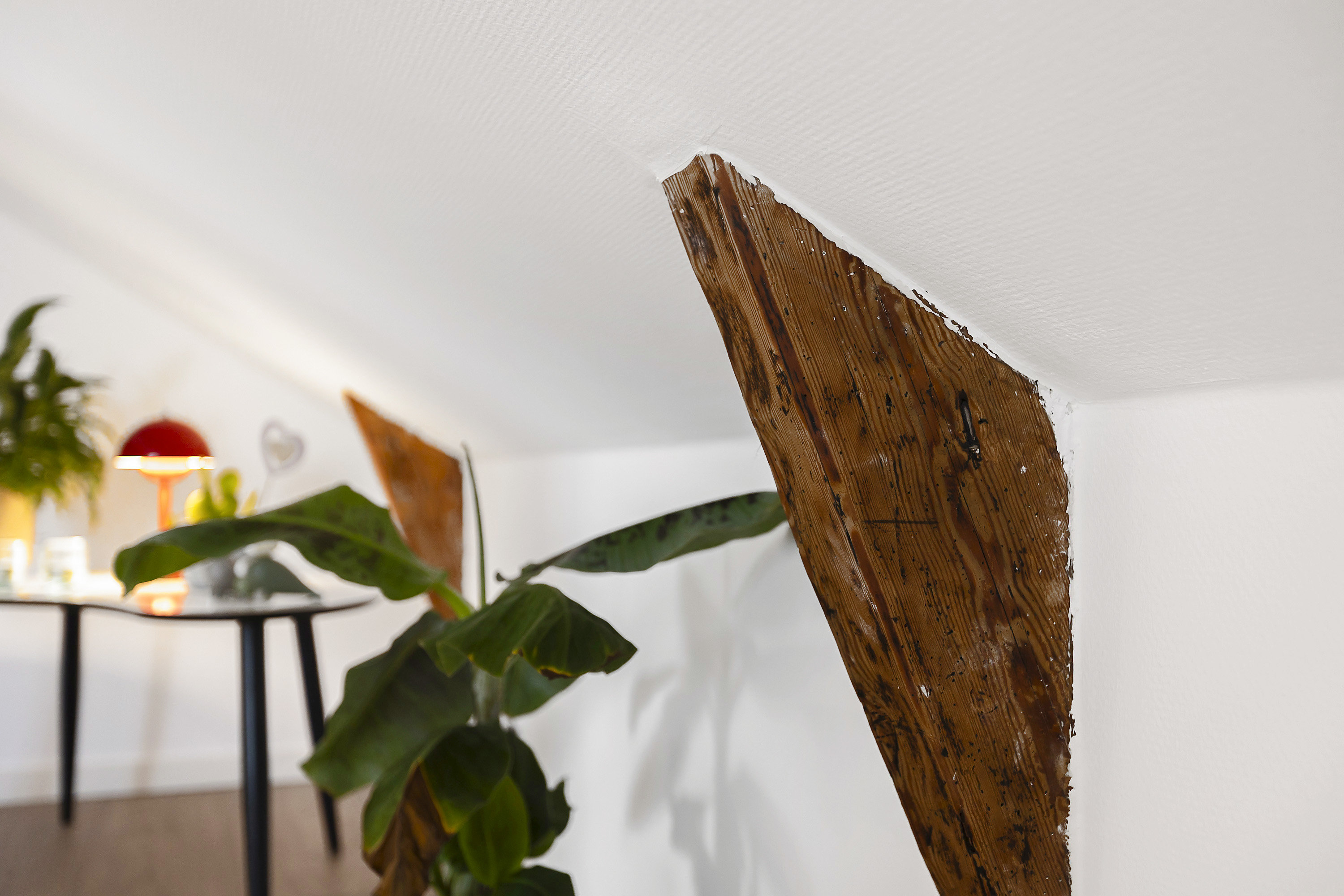 Fremhævet område billede i fuldskærmstilstand. Billede af Gadekær 1, Tråsbøl, 6200 Aabenraa