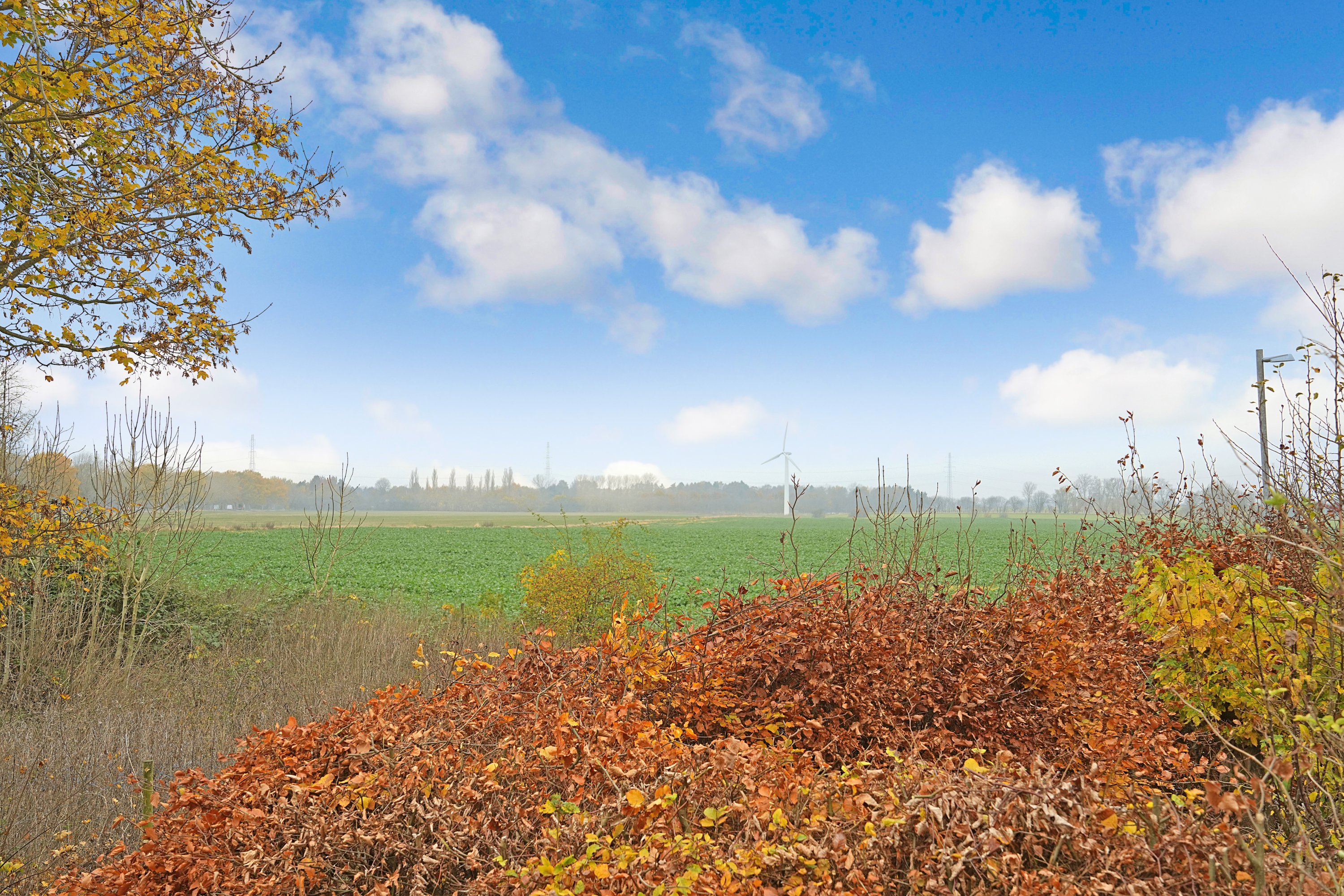Fremhævet udsigt billede i fuldskærmstilstand. Billede af Nordmarksvej 4, Solrød, 2680 Solrød Strand
