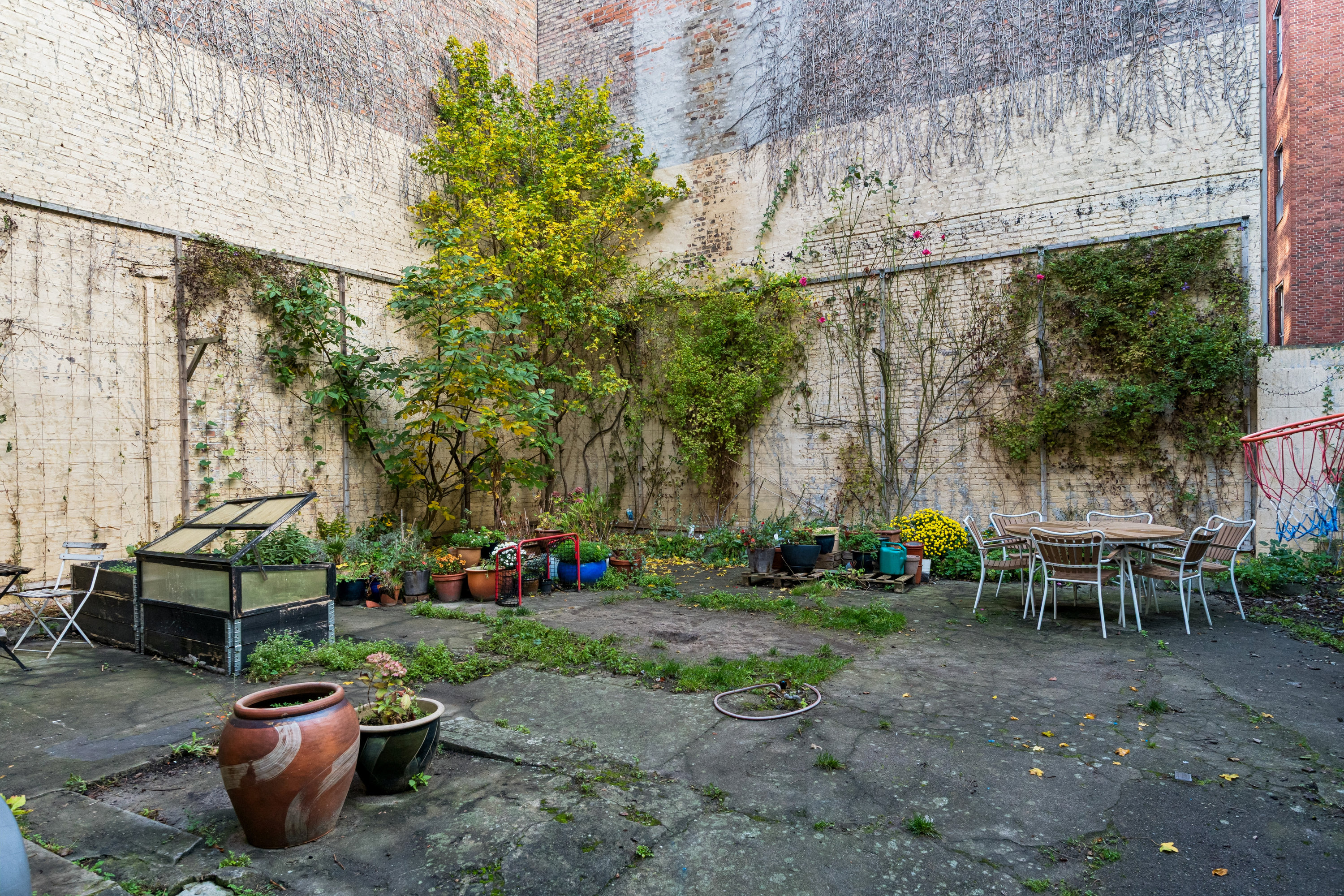 Fremhævet gårdmiljø billede i fuldskærmstilstand. Billede af Rosenvængets Allé 5, 2., 2100 København Ø