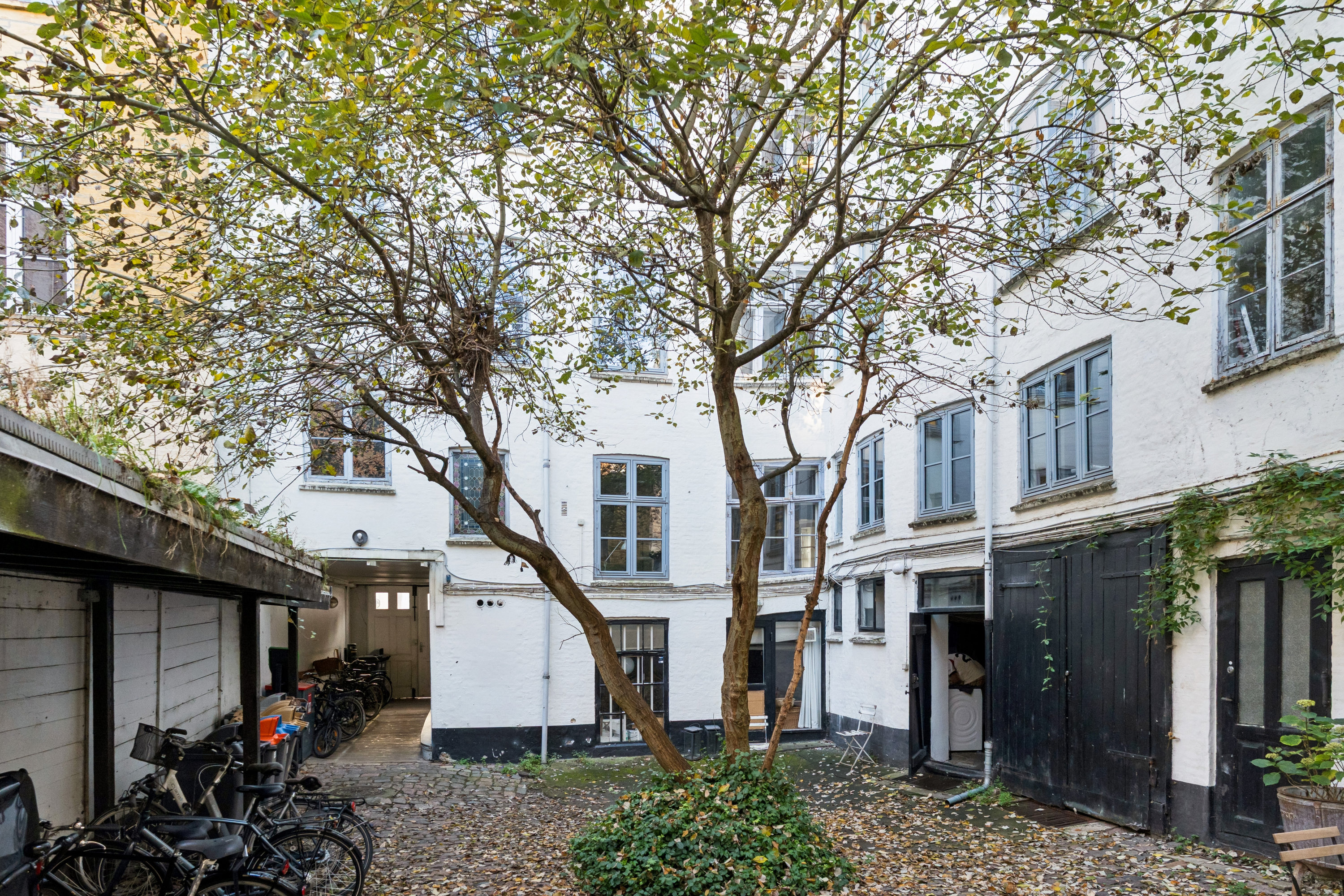 Fremhævet andet billede i fuldskærmstilstand. Billede af Rosenvængets Allé 5, 2., 2100 København Ø