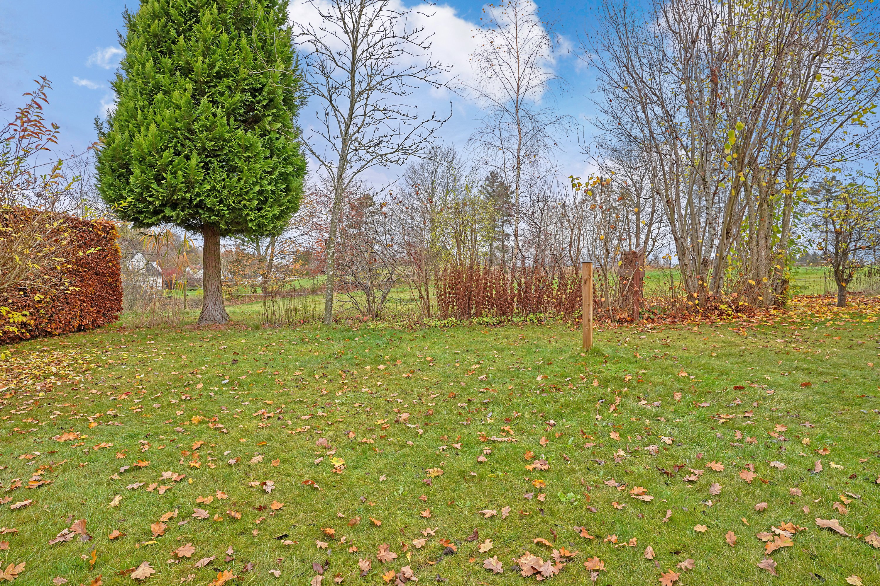 Fremhævet have billede i fuldskærmstilstand. Billede af Stavnsholt Gydevej 142C, 3520 Farum