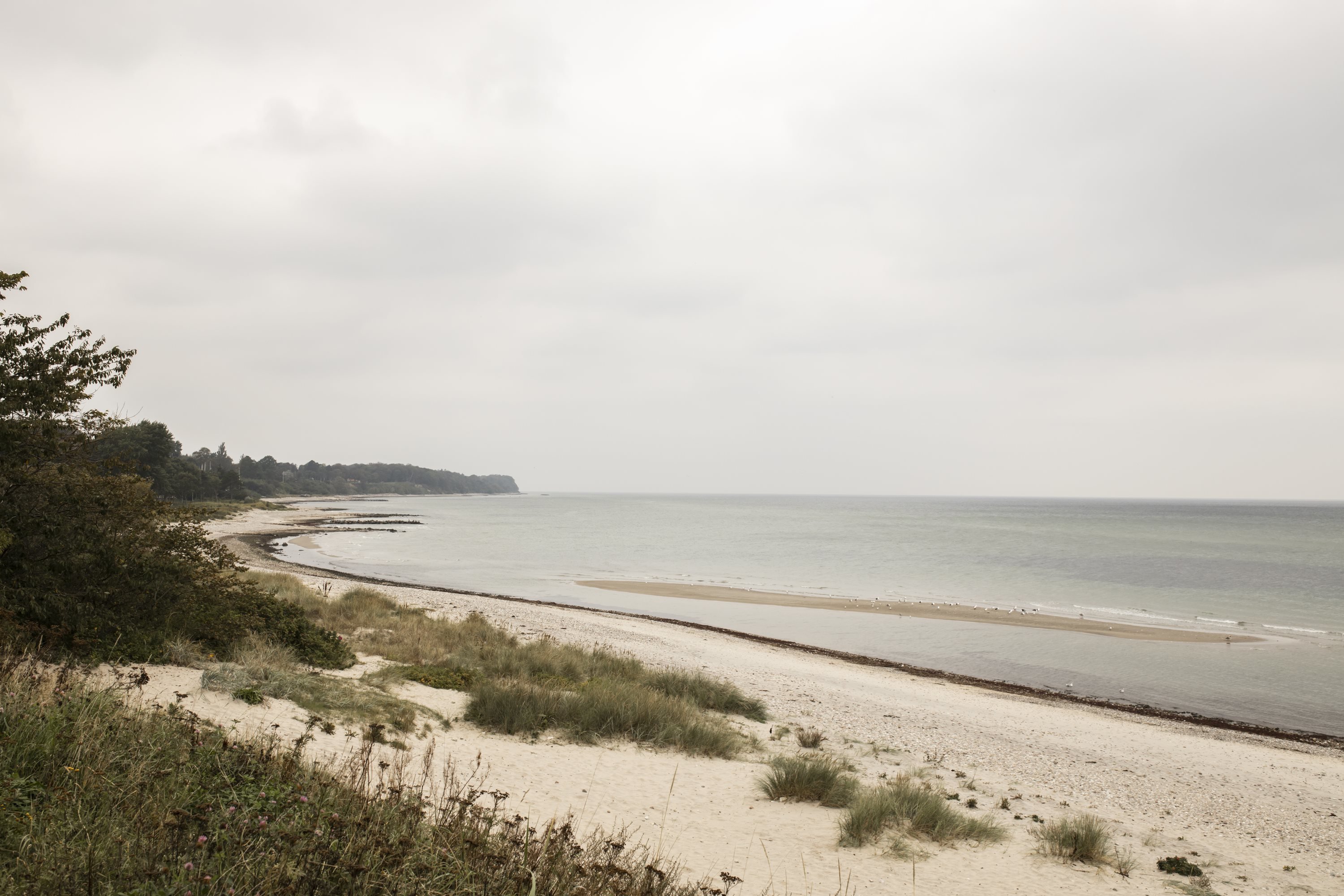 Fremhævet  billede i fuldskærmstilstand. Billede af Kræmmervej 3, 3100 Hornbæk