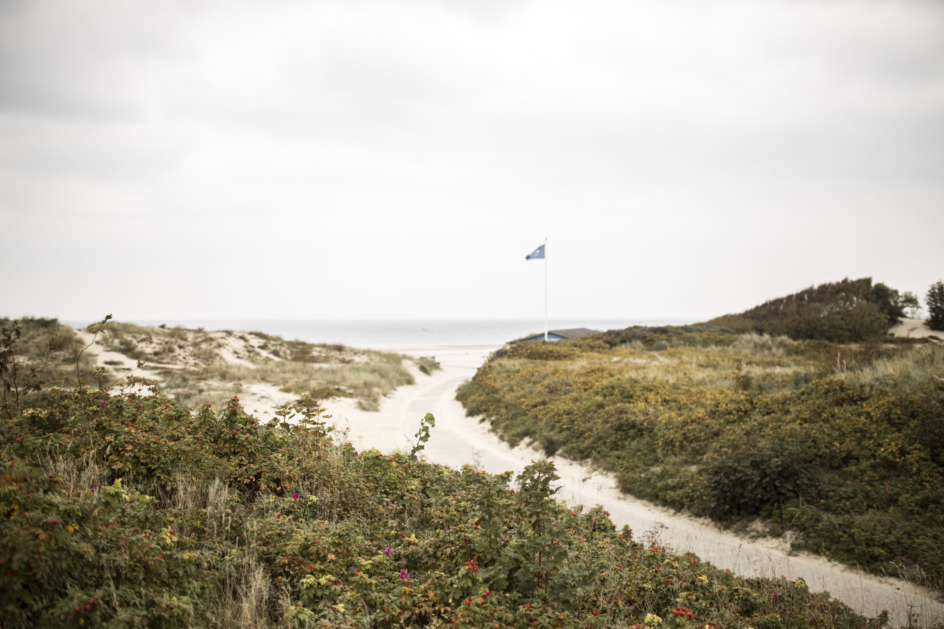 Fremhævet  billede i fuldskærmstilstand. Billede af Kræmmervej 3, 3100 Hornbæk