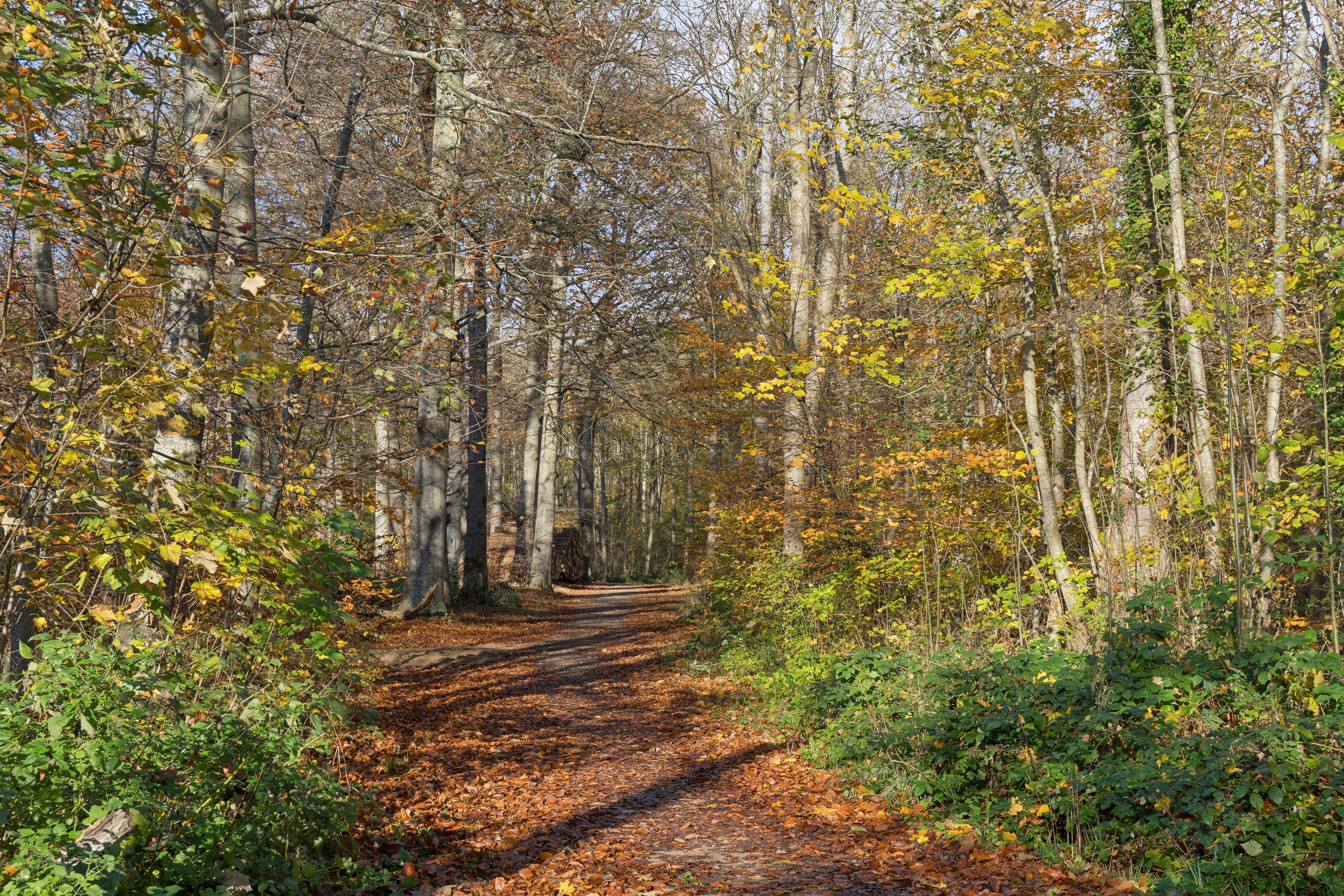 Fremhævet udendørs billede i fuldskærmstilstand. Billede af Rantzausmindevej 122, 5700 Svendborg