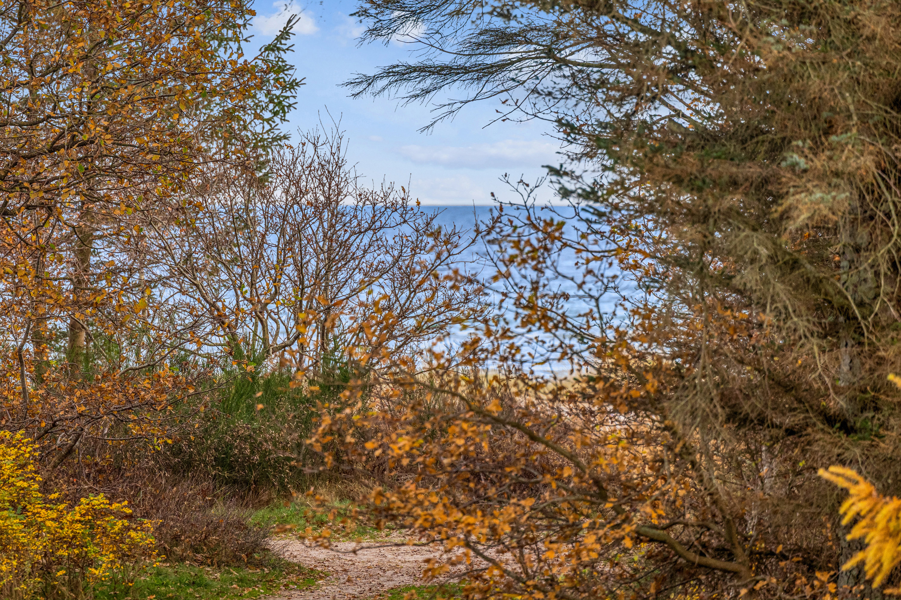 Miniaturebillede 1: have. Billede af Fyrvej 10, Bisnap, 9370 Hals