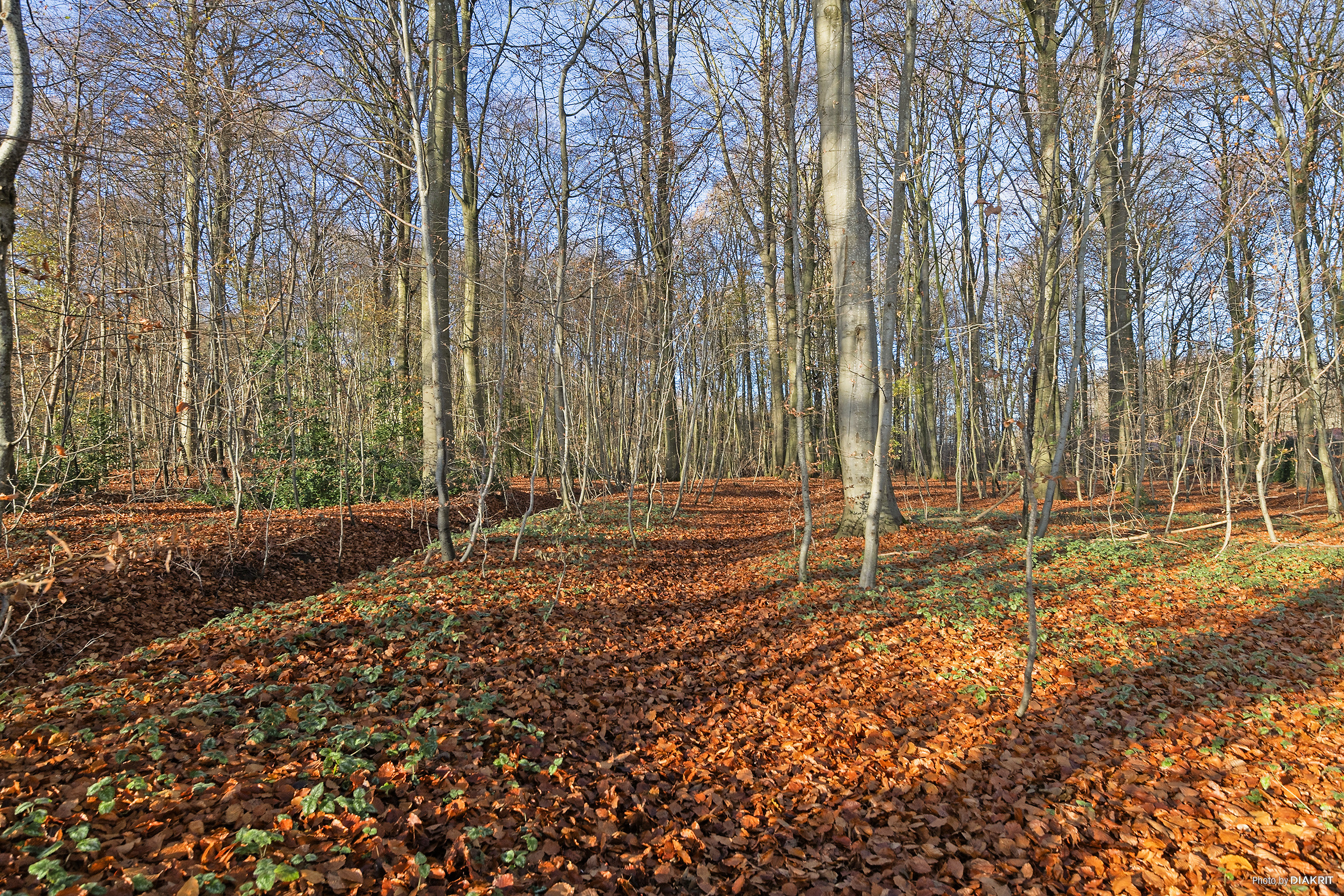 Miniaturebillede 2: område. Billede af Skovly 8, 8300 Odder