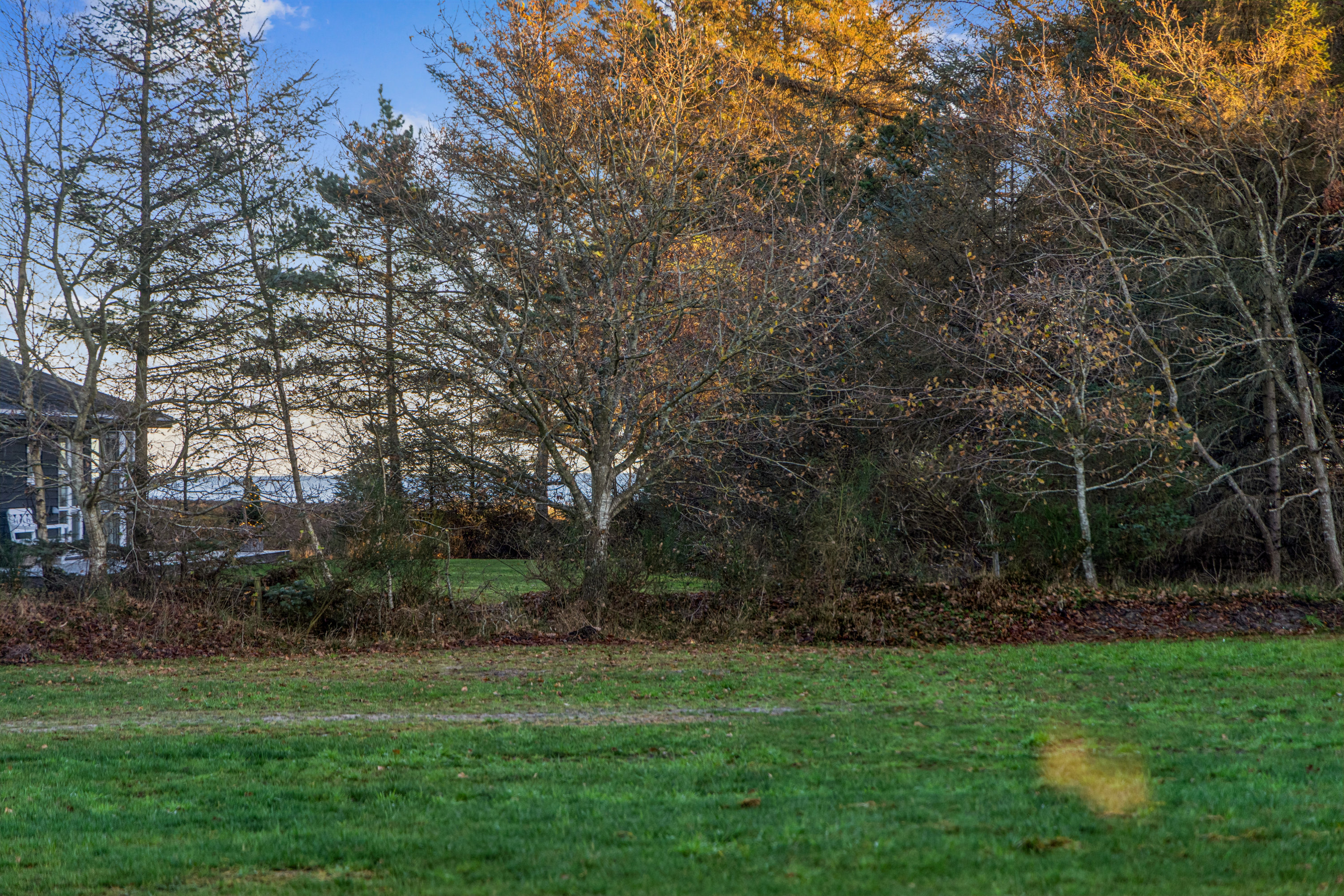 Fremhævet have billede i fuldskærmstilstand. Billede af Fyrvej 6, Bisnap, 9370 Hals