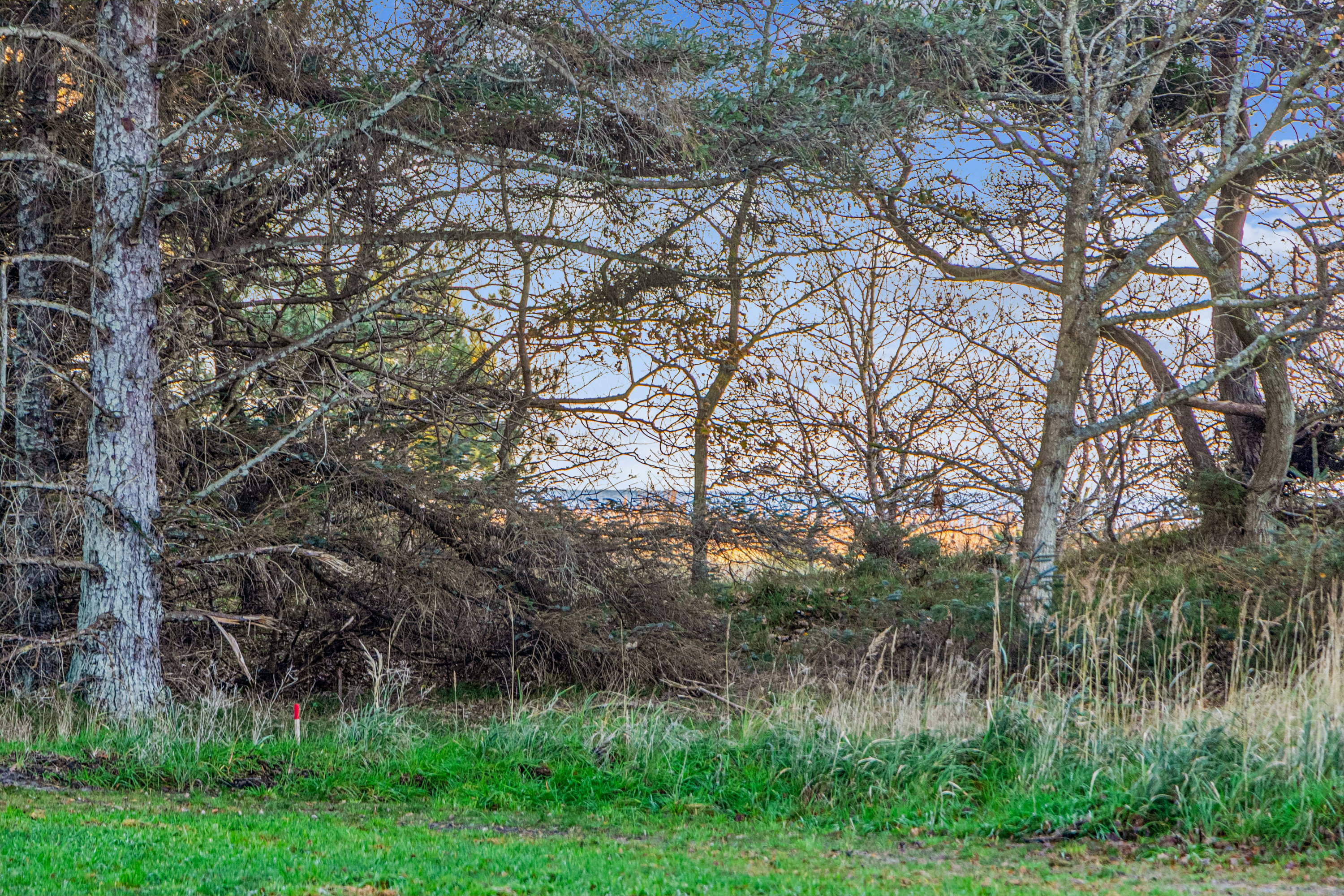 Fremhævet have billede i fuldskærmstilstand. Billede af Fyrvej 6, Bisnap, 9370 Hals