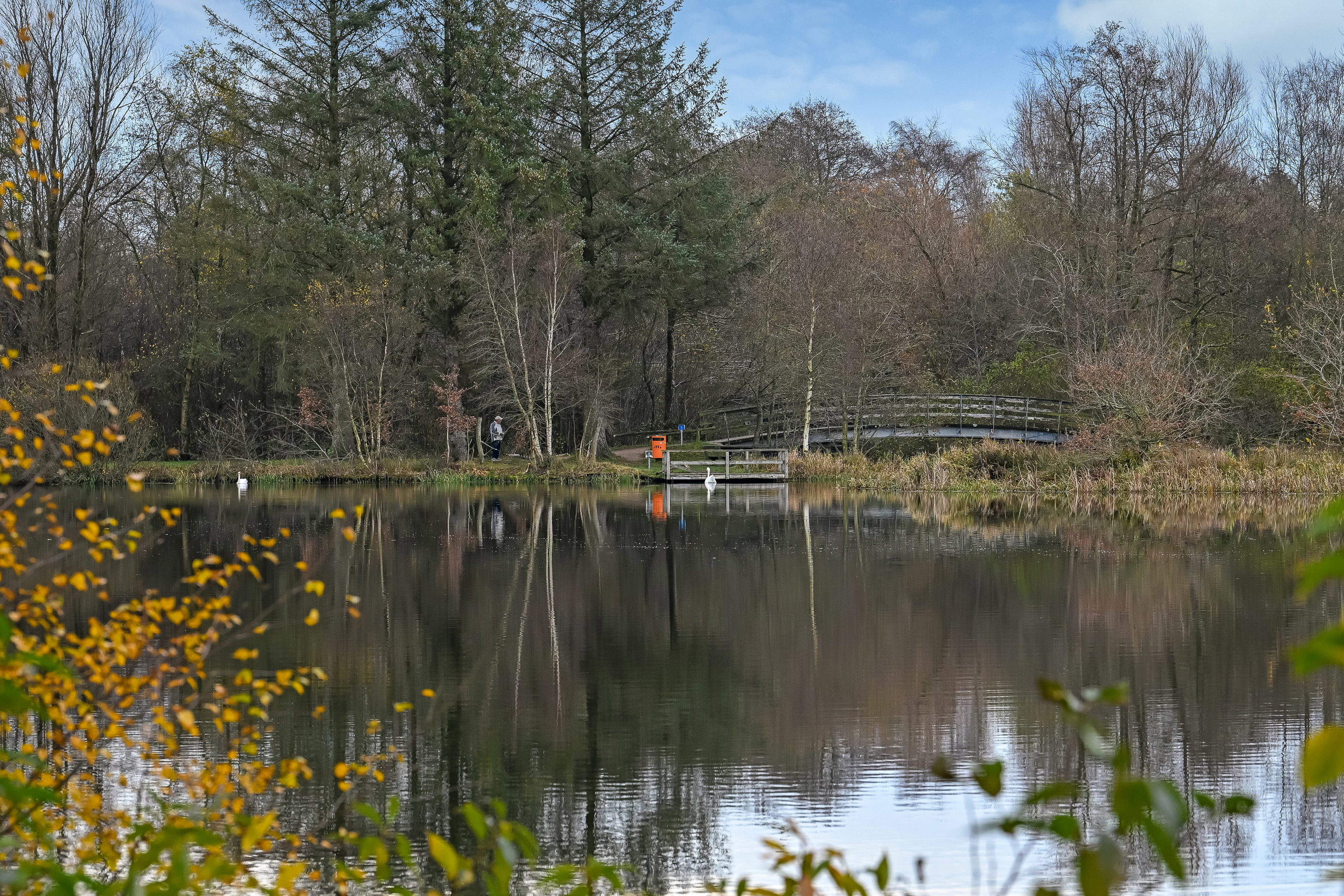 Fremhævet have billede i fuldskærmstilstand. Billede af Åglimt 29, 7200 Grindsted