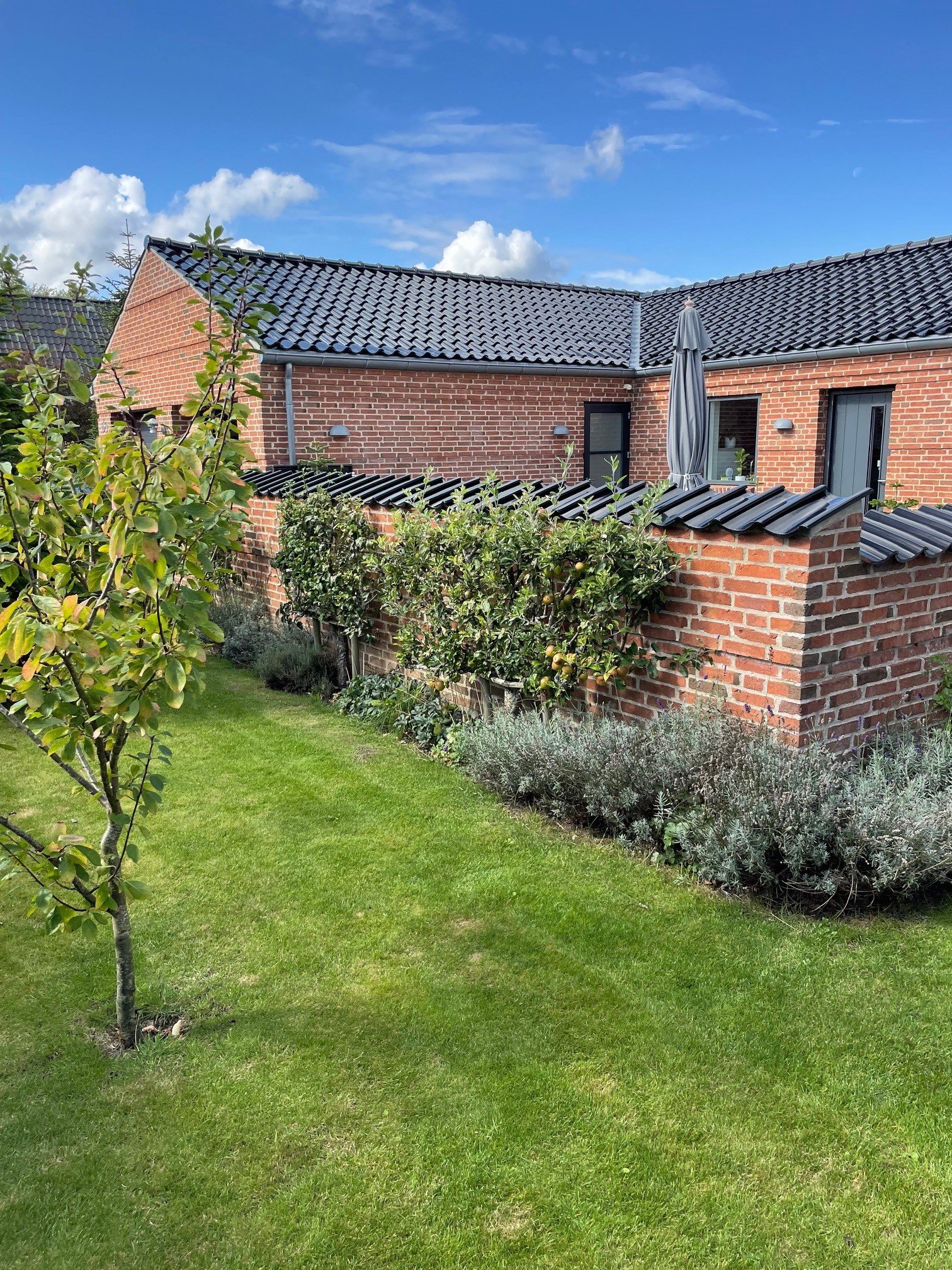 Fremhævet  billede i fuldskærmstilstand. Billede af Laskedalen 58, 8220 Brabrand