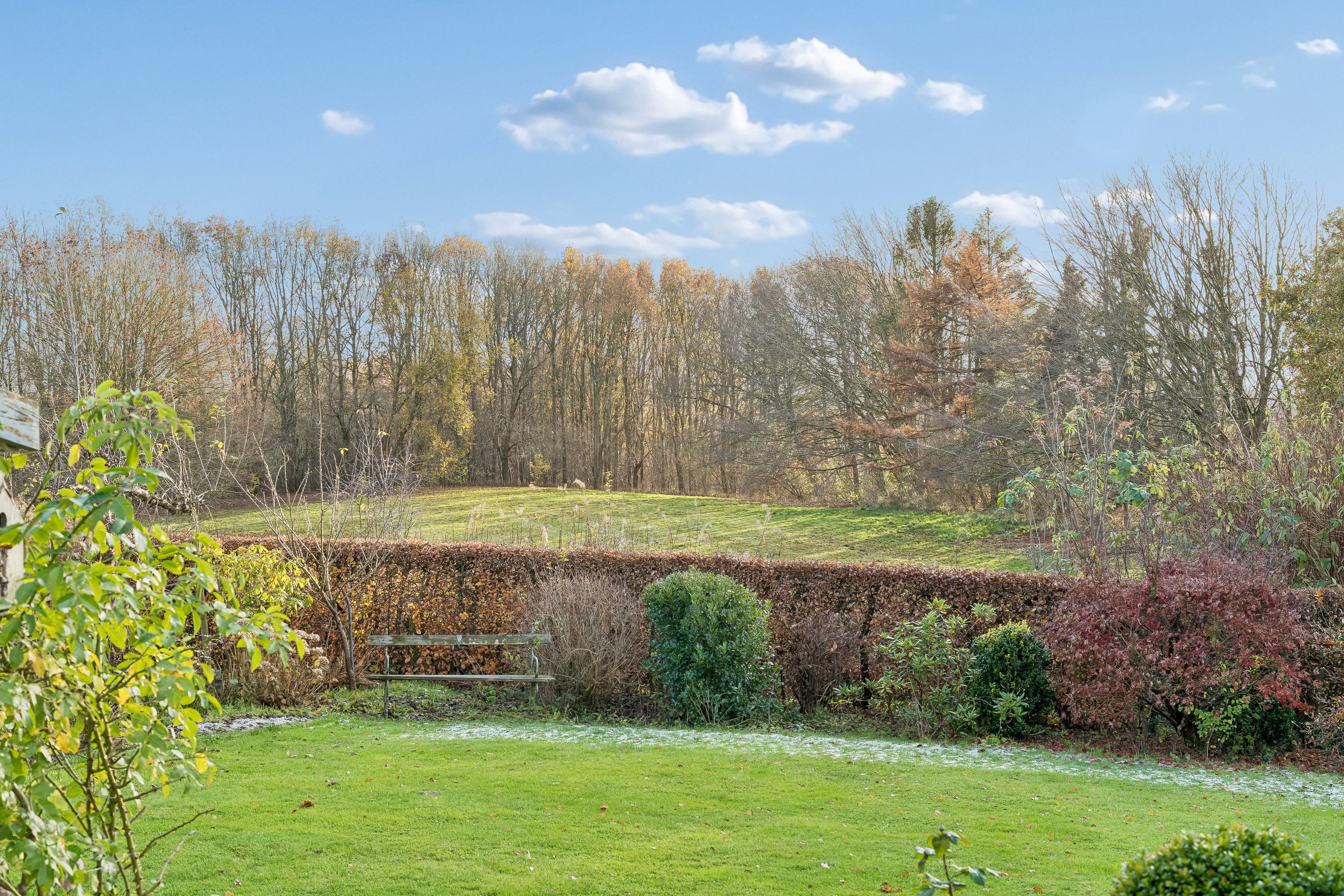 Fremhævet have billede i fuldskærmstilstand. Billede af Rosenholmvej 23, 8930 Randers NØ