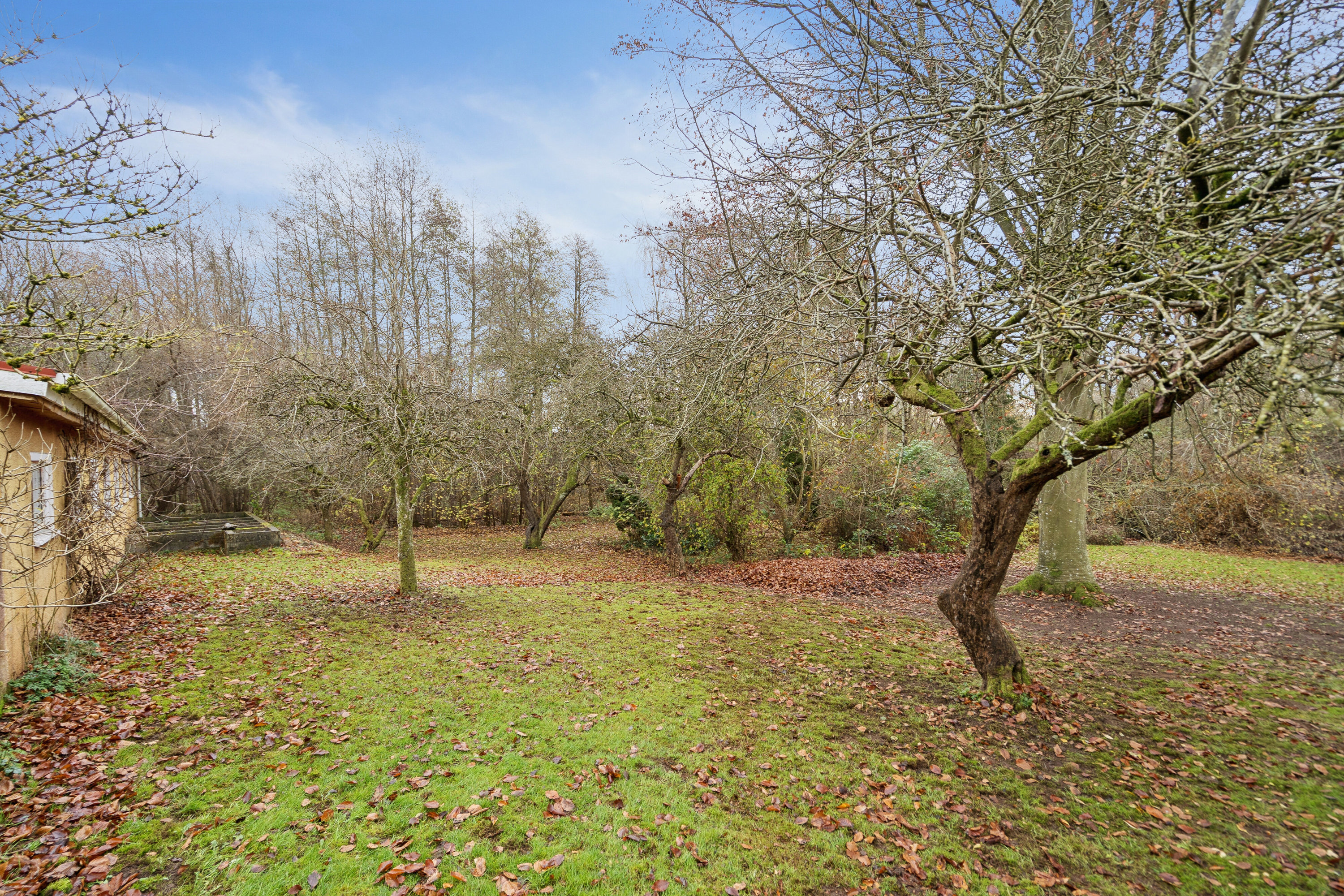 Fremhævet have billede i fuldskærmstilstand. Billede af Assensvej 334, Frankfri, 5690 Tommerup