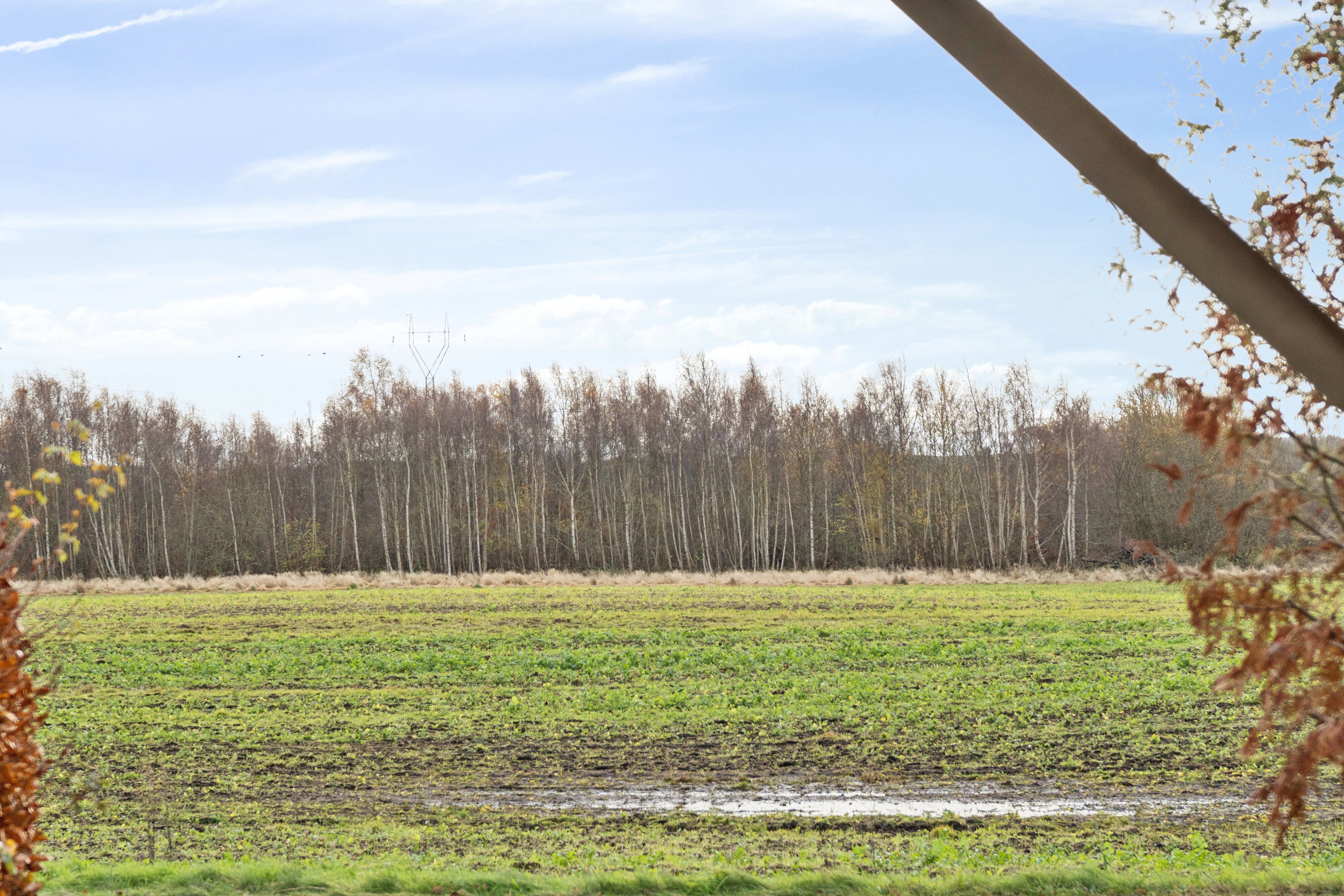 Fremhævet udendørs billede i fuldskærmstilstand. Billede af Rugårdsvej 341, Villestofte, 5210 Odense NV