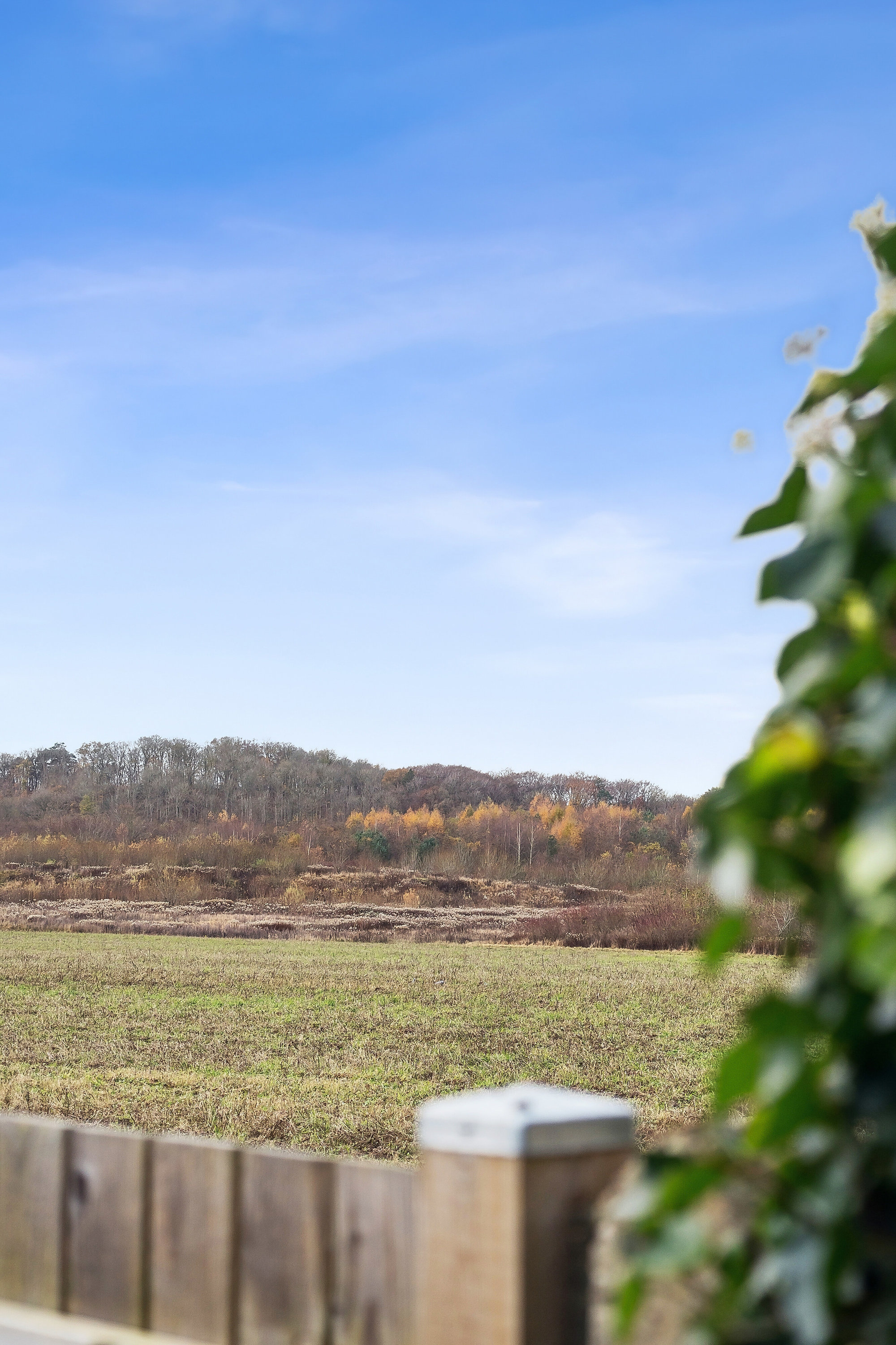 Fremhævet udsigt billede i fuldskærmstilstand. Billede af Præsteengen 27, Rønnebæk, 4700 Næstved