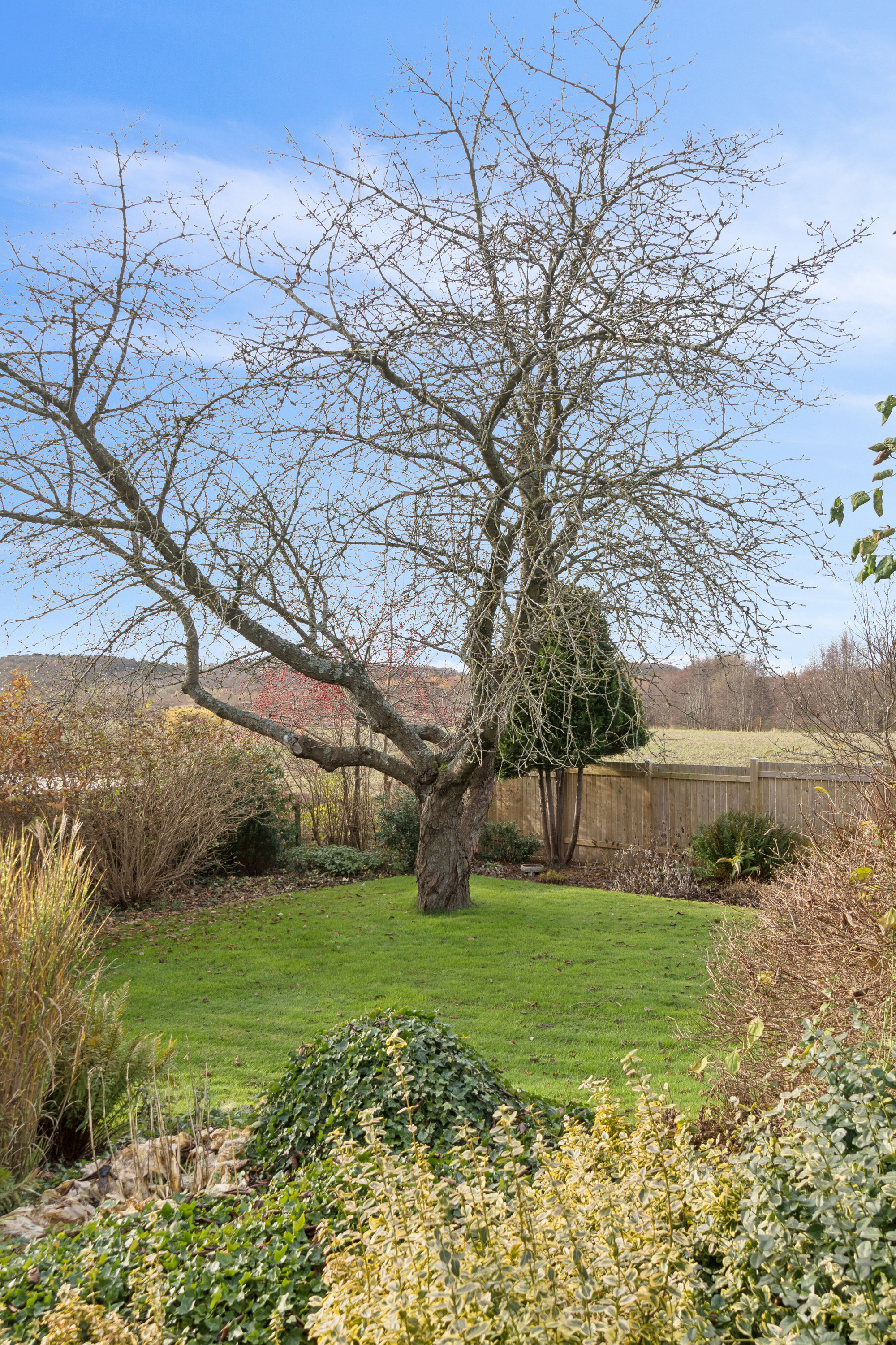 Miniaturebillede 1: haven. Billede af Præsteengen 27, Rønnebæk, 4700 Næstved