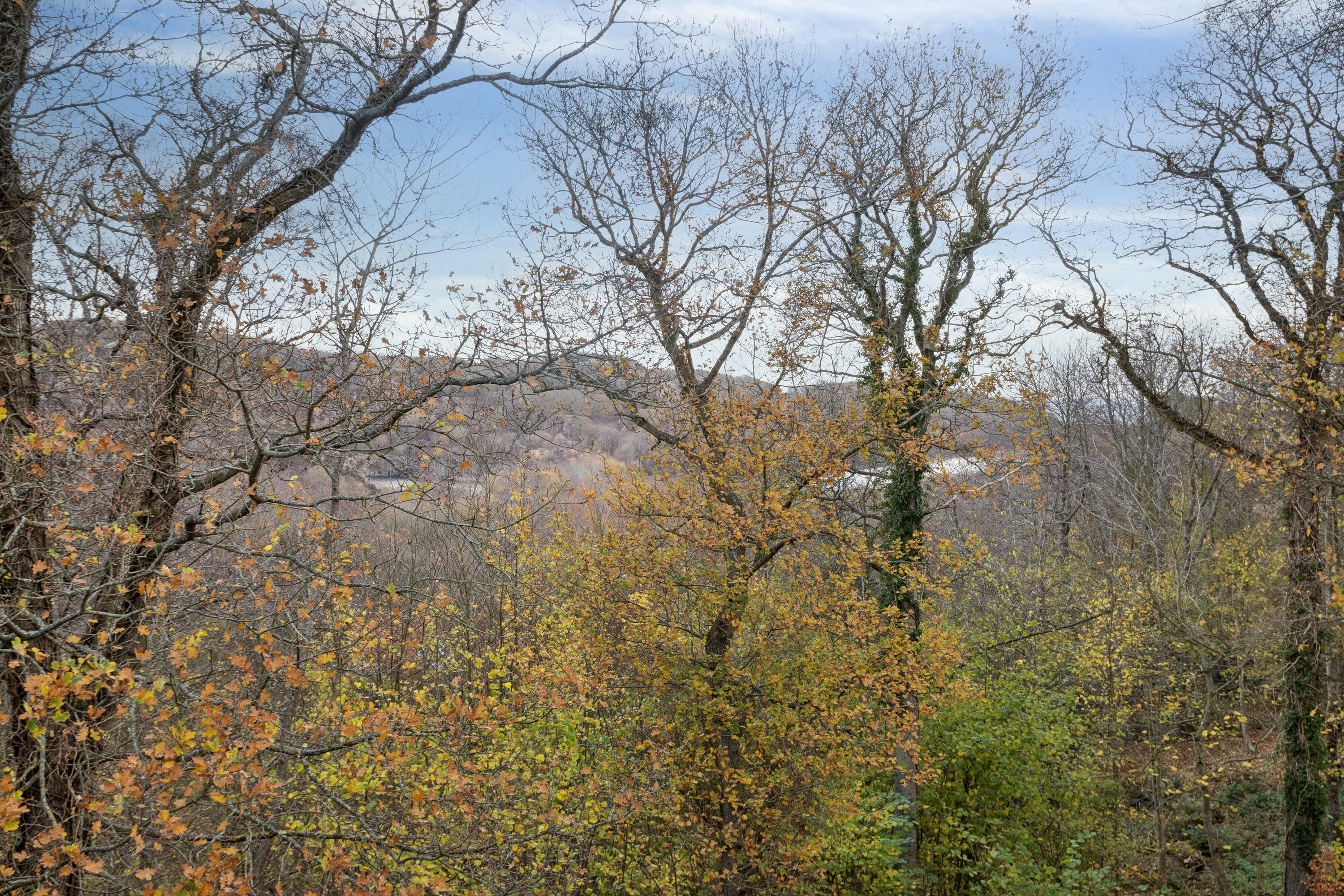 Fremhævet udendørs billede i fuldskærmstilstand. Billede af Langebjergvej 62, 27., Sandvig, 3770 Allinge