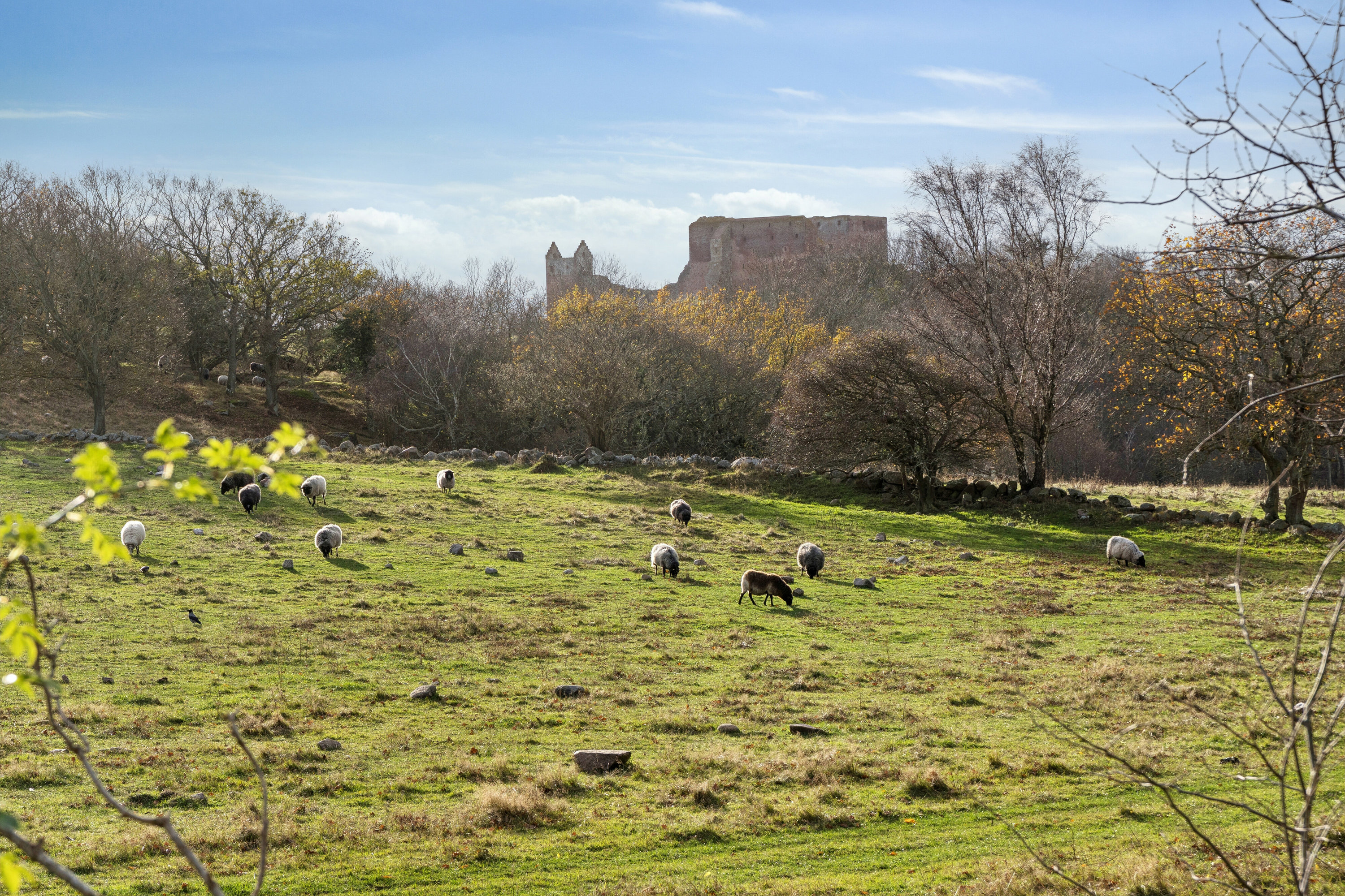 Fremhævet udendørs billede i fuldskærmstilstand. Billede af Langebjergvej 62, 27., Sandvig, 3770 Allinge