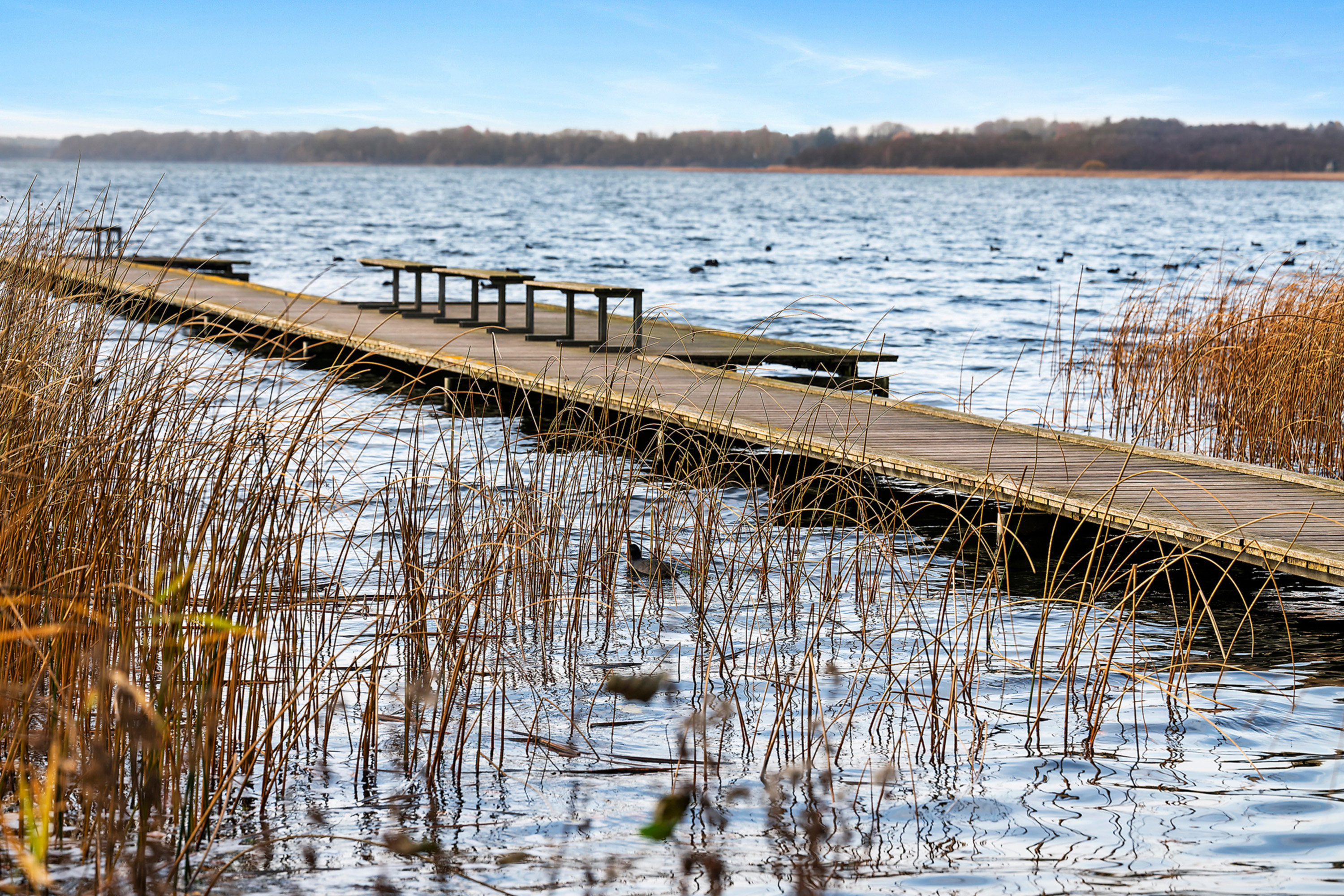 Fremhævet område billede i fuldskærmstilstand. Billede af Birkebakken 31, 2840 Holte